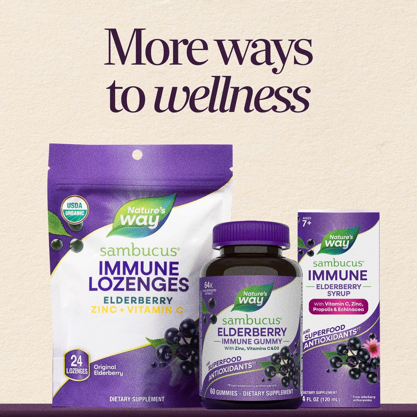 Nature's Way Sambucus Cold+Flu Relief Elderberry Chewable Tablets, 20 Count