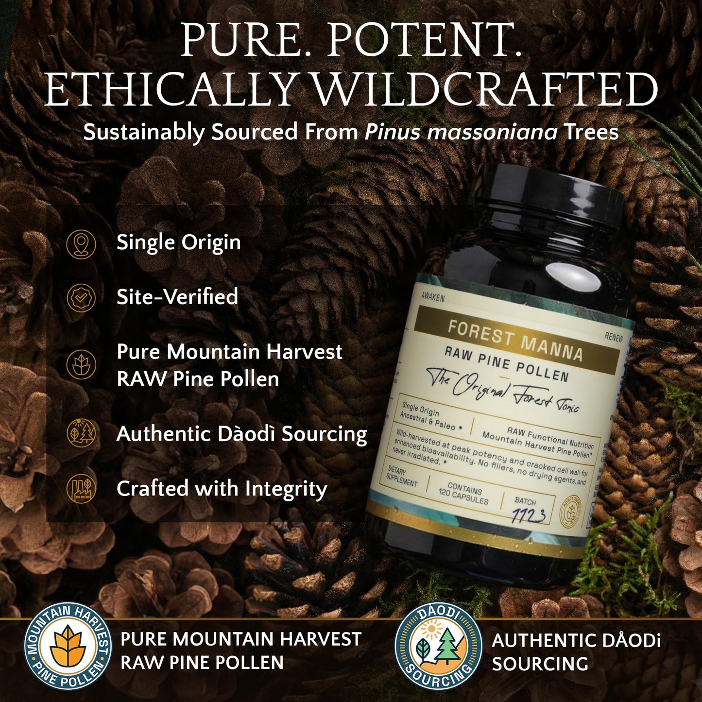 RAW Forest Foods Forest Manna RAW Pine Pollen Capsules 120 Count