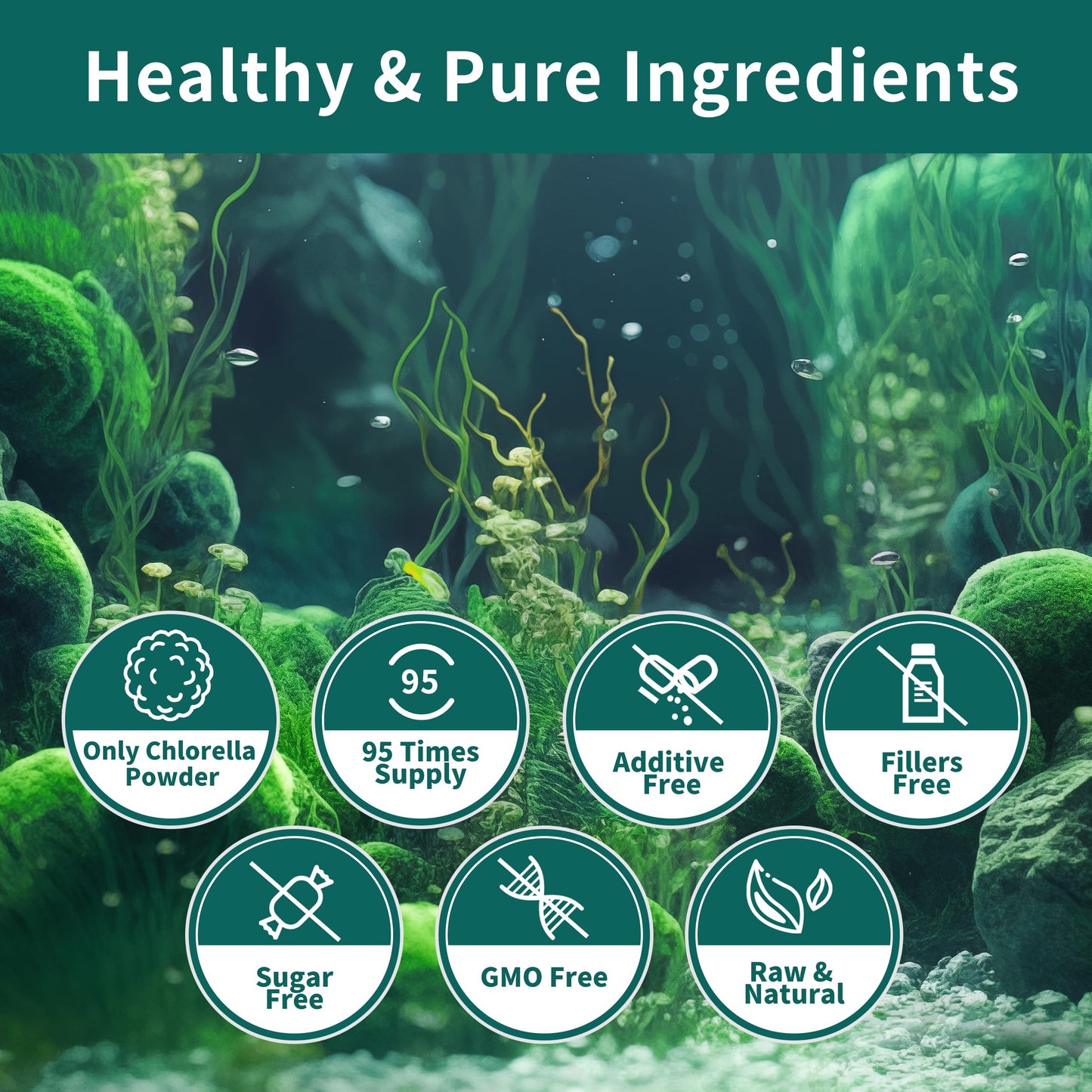 Hudetex Chlorella Powder 9.99 Ounce