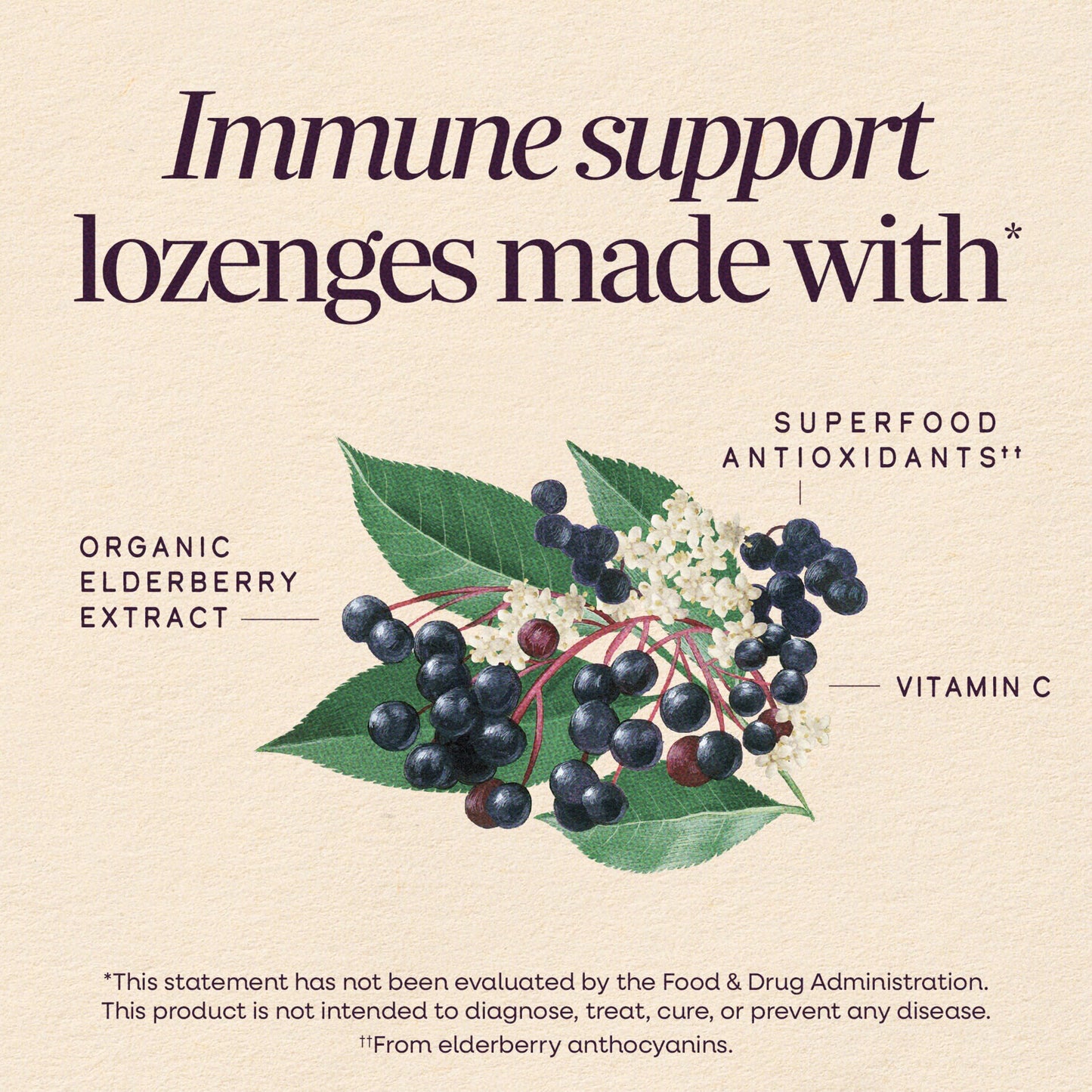 Nature's Way Sambucus Immune Lozenges, Elderberry Flavored, No Zinc, 30 Tablets