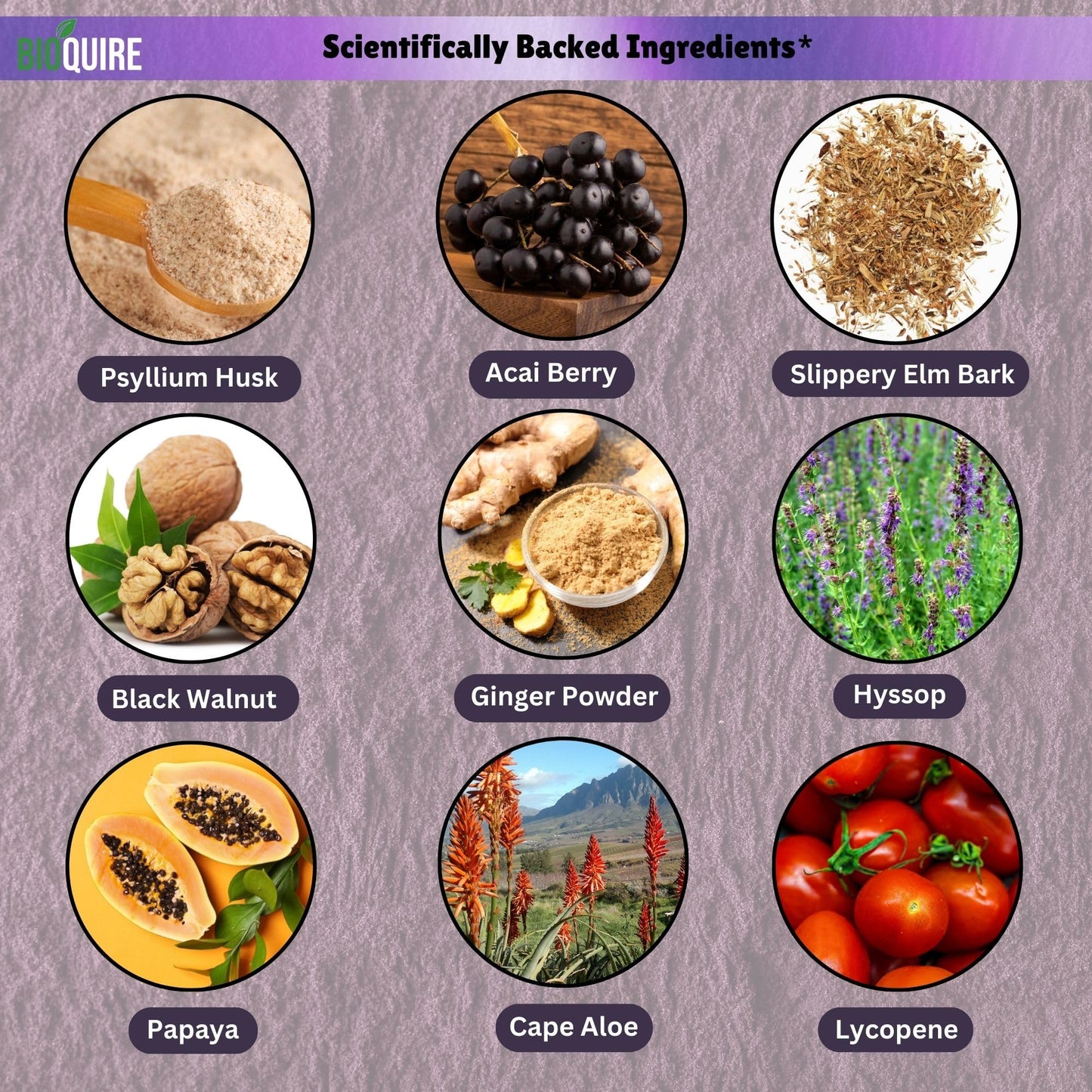 BIOQUIRE LavaSlim Max Natural Dietary Supplement Capsule 60 Capsules