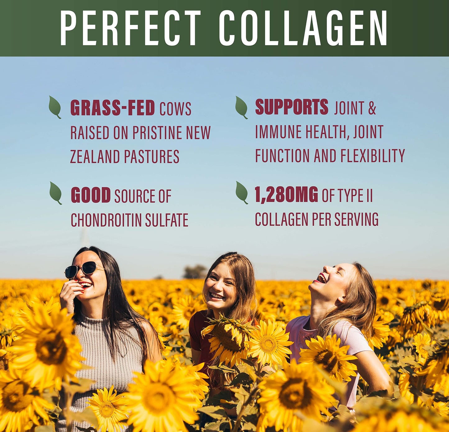 Perfect Supplements Perfect Type II Collagen Capsule 150 Count