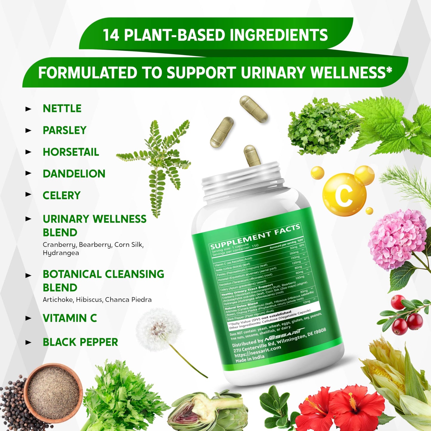 NESSARIT Nettle Leaf, Parsley, Horsetail, Dandelion & Celery Seed – Support Urinary Tract & Natural Detox, 150 Capsules