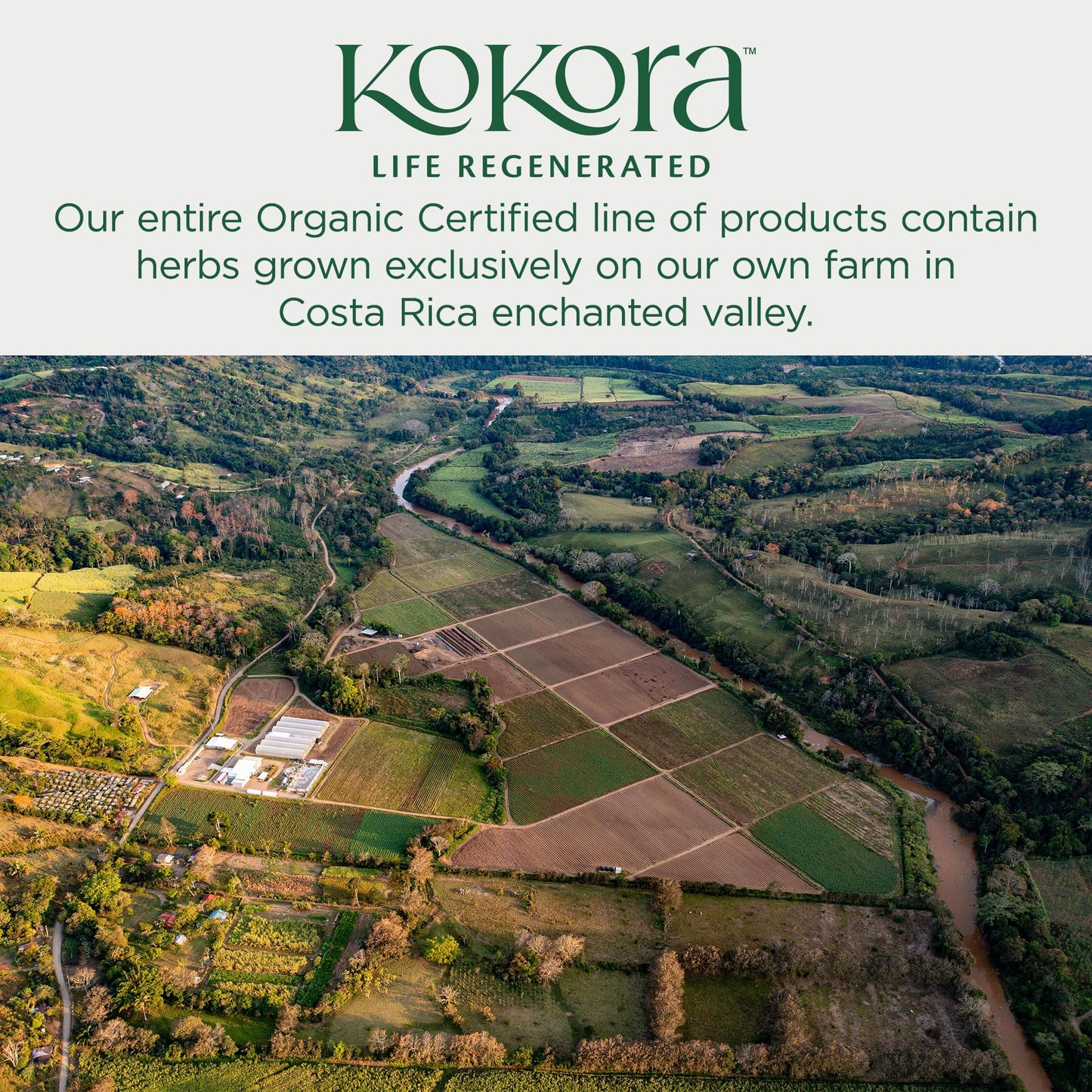 kokora Immune Power Powder 4.23 oz