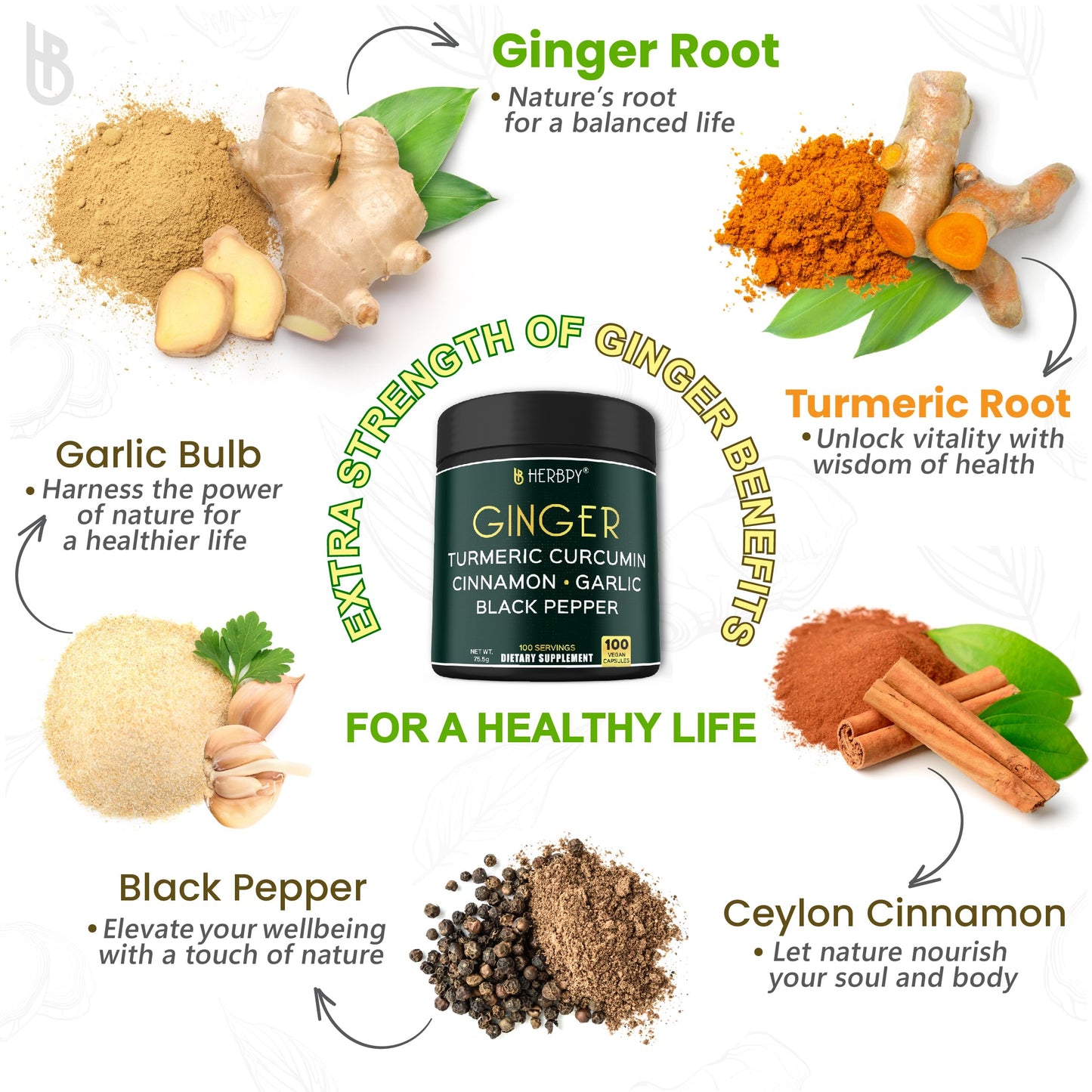 Herbpy 5in1 Ginger and Turmeric Capsules, 100 Count
