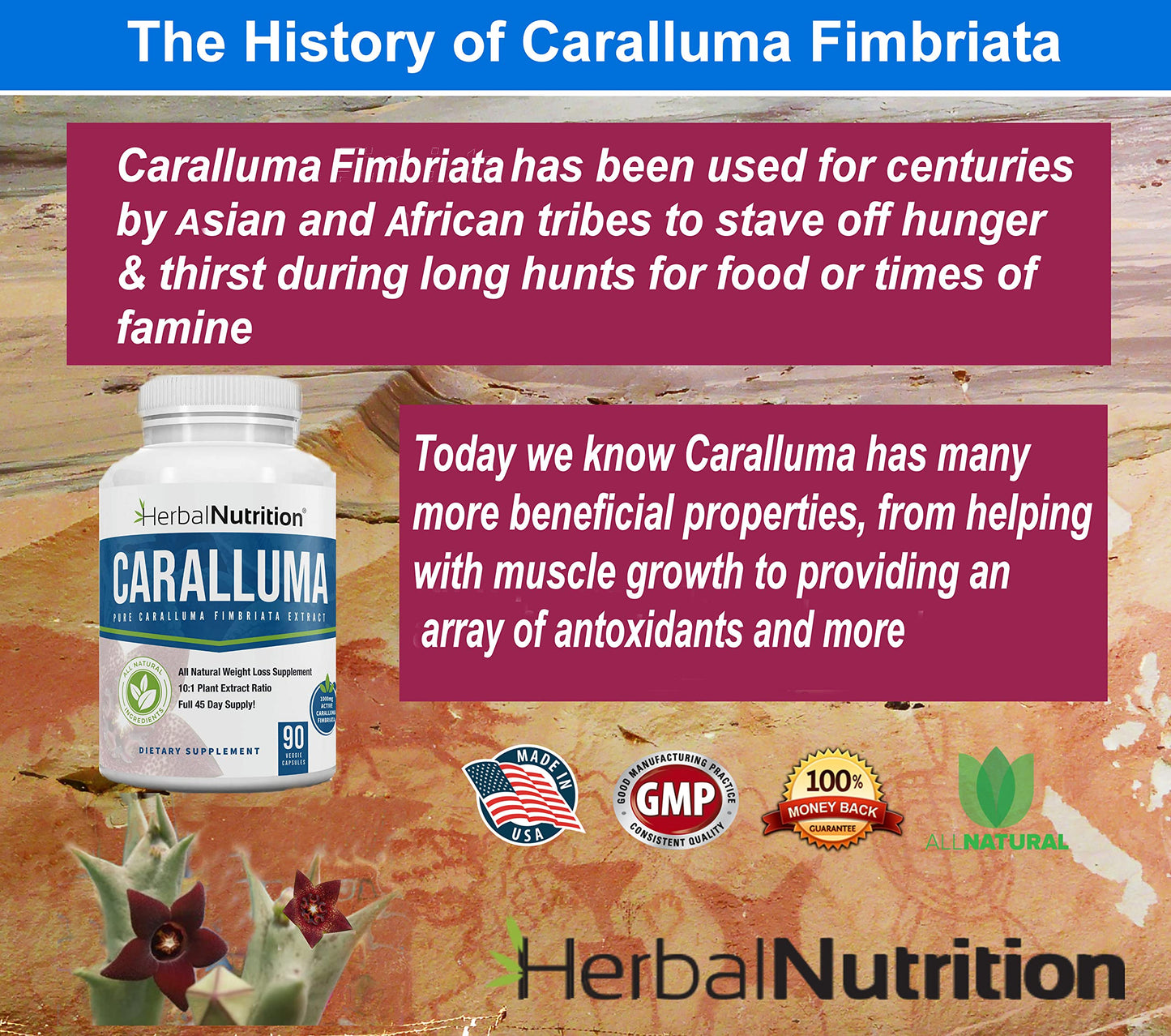 Herbal Nutrition Caralluma Fimbriata 1200mg 10:1 Extract Appetite Support Capsule, 2 Capsules