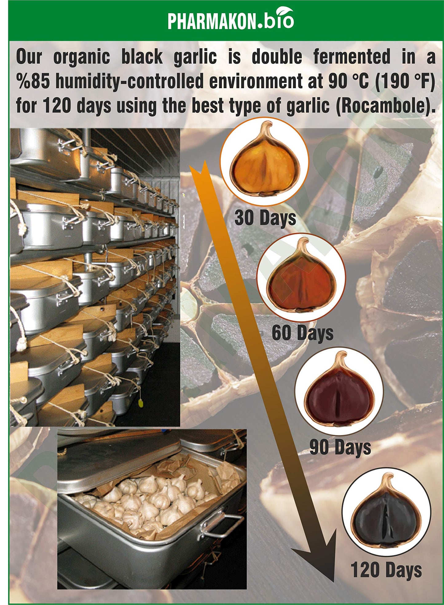 PHARMAKON Aged Black Garlic Capsule 240 Count