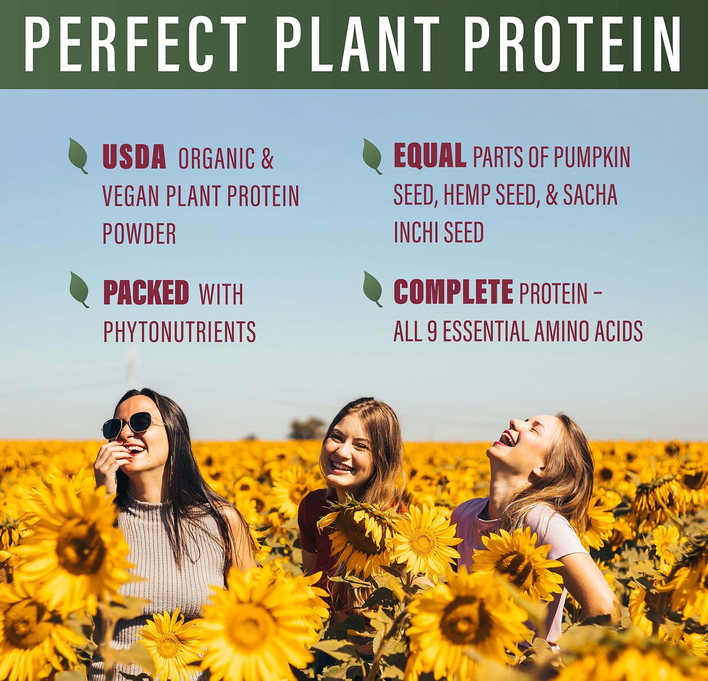 Perfect Supplements Perfect Plant Protein Powder, Pumpkin Seed, Hemp Seed & Sacha Inchi, 21.1 oz