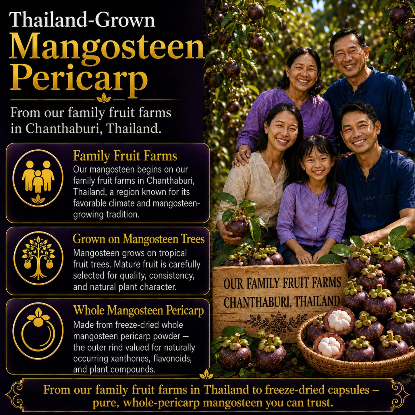Natural Home Cures Mangosteen Supplement Capsules 120 Capsules