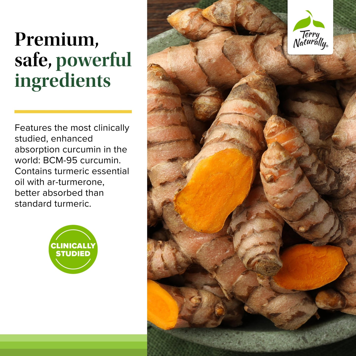 Terry Naturally Curamin 21 Capsules