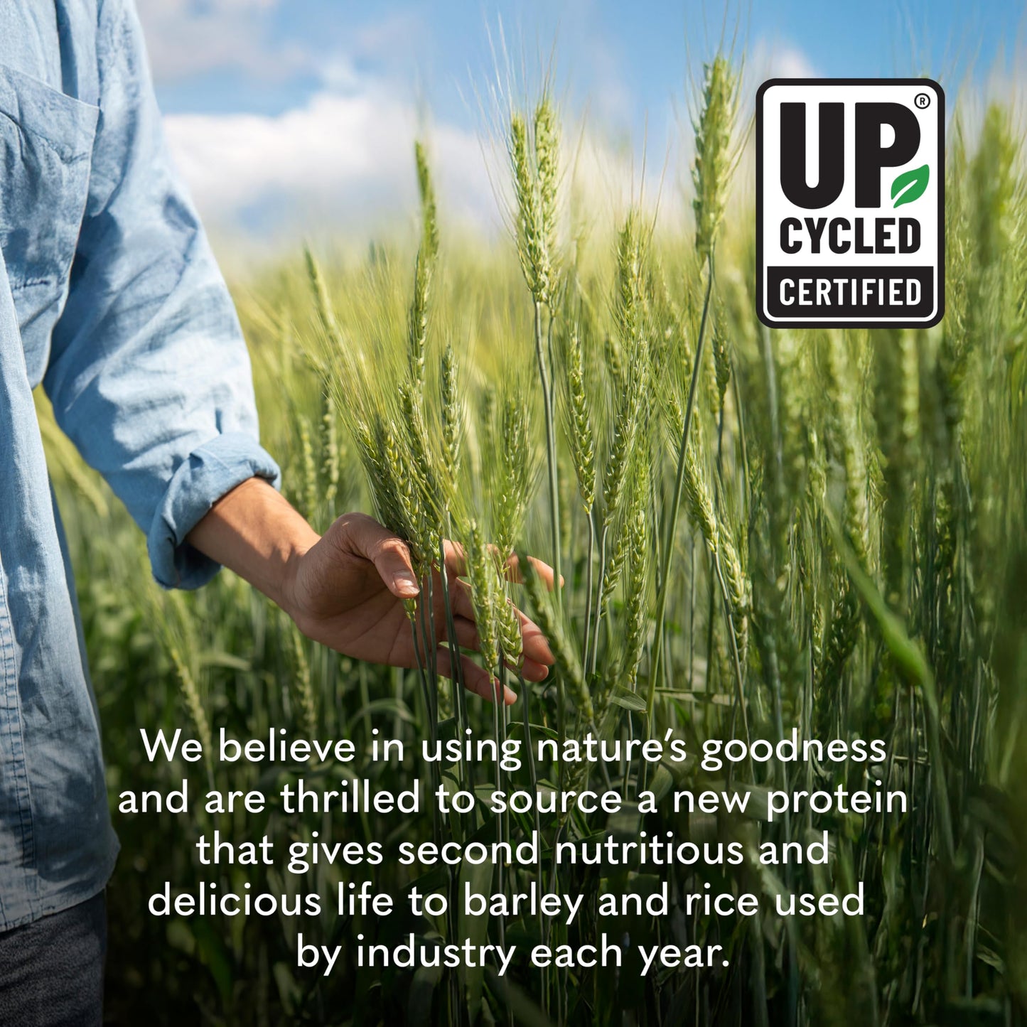 Garden of Life Sprouted Barley Protein Powder Vanilla Caramel, 18.48 oz