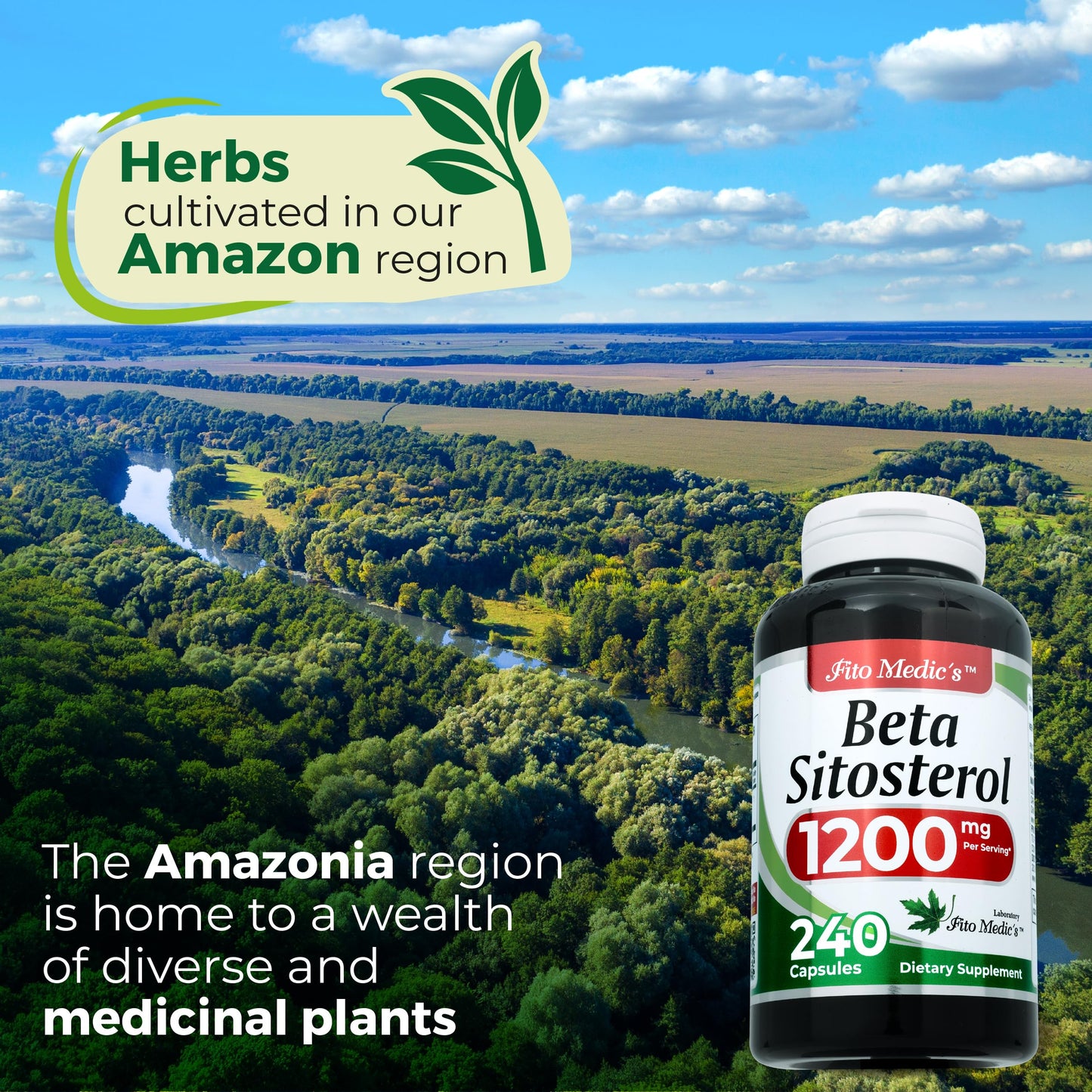 FITO MEDIC'S Beta Sitosterol Plant Sterols 240 Capsules