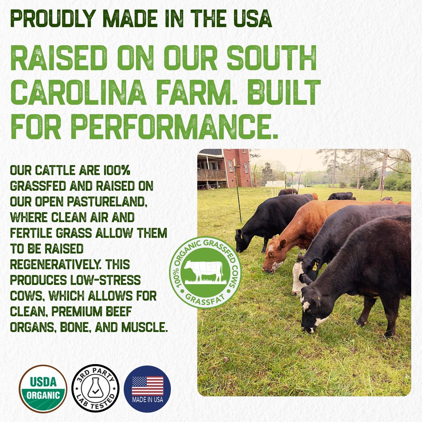 Grassfat Grassfed Beef Organ Supplements Capsules 20 Count