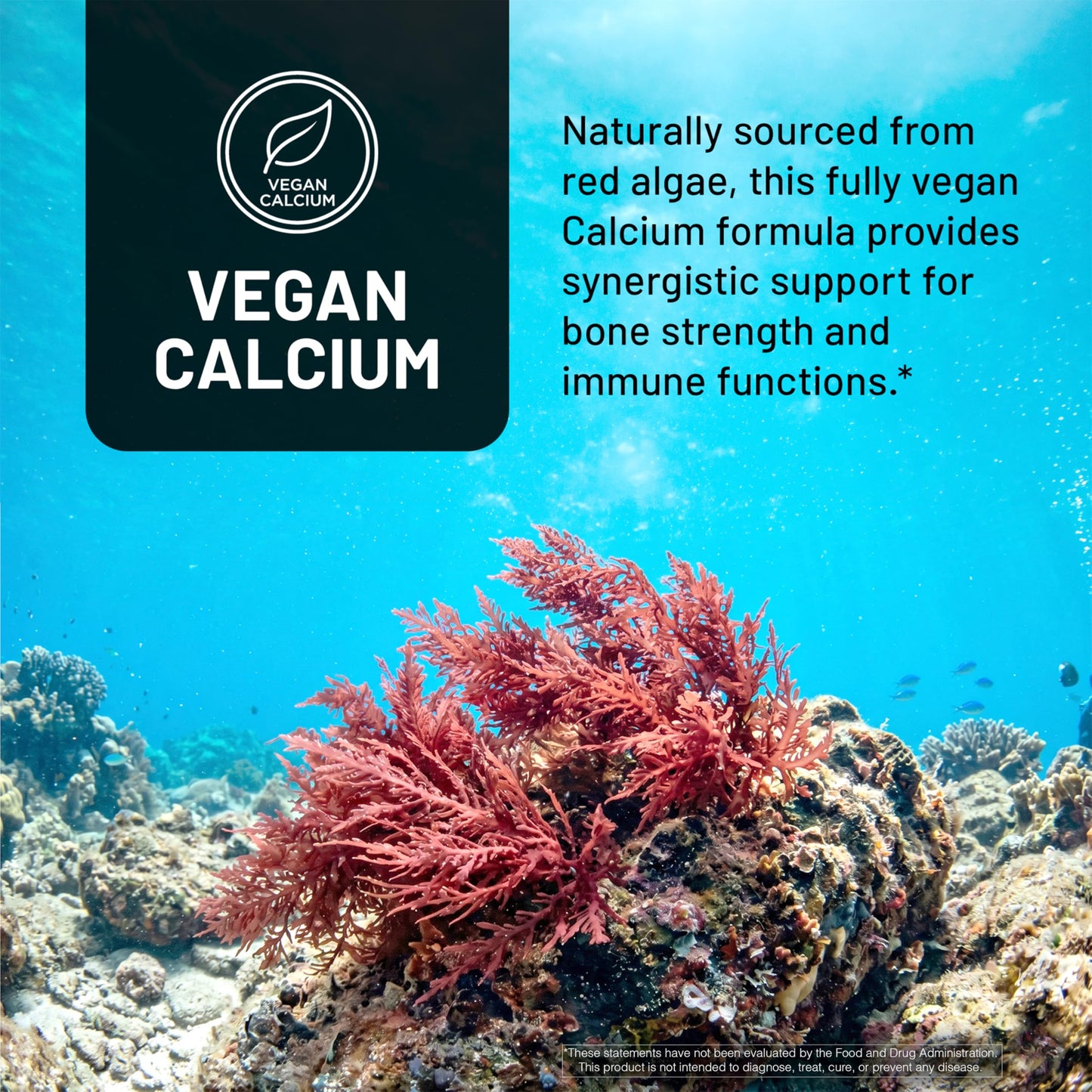 NatureWise Algae Calcium Plus Capsules 120 Count