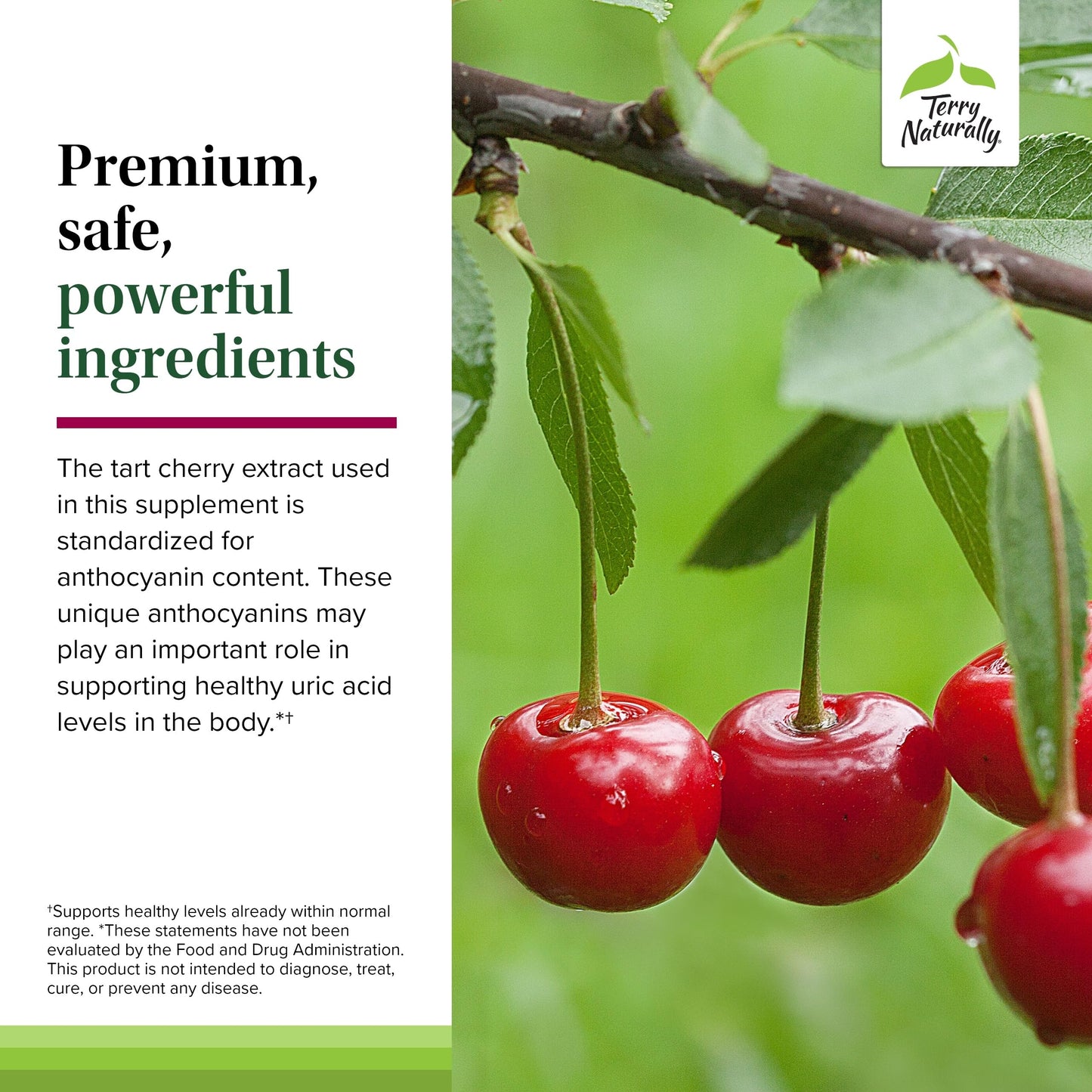 Terry Naturally Tart Cherry 120 Capsules