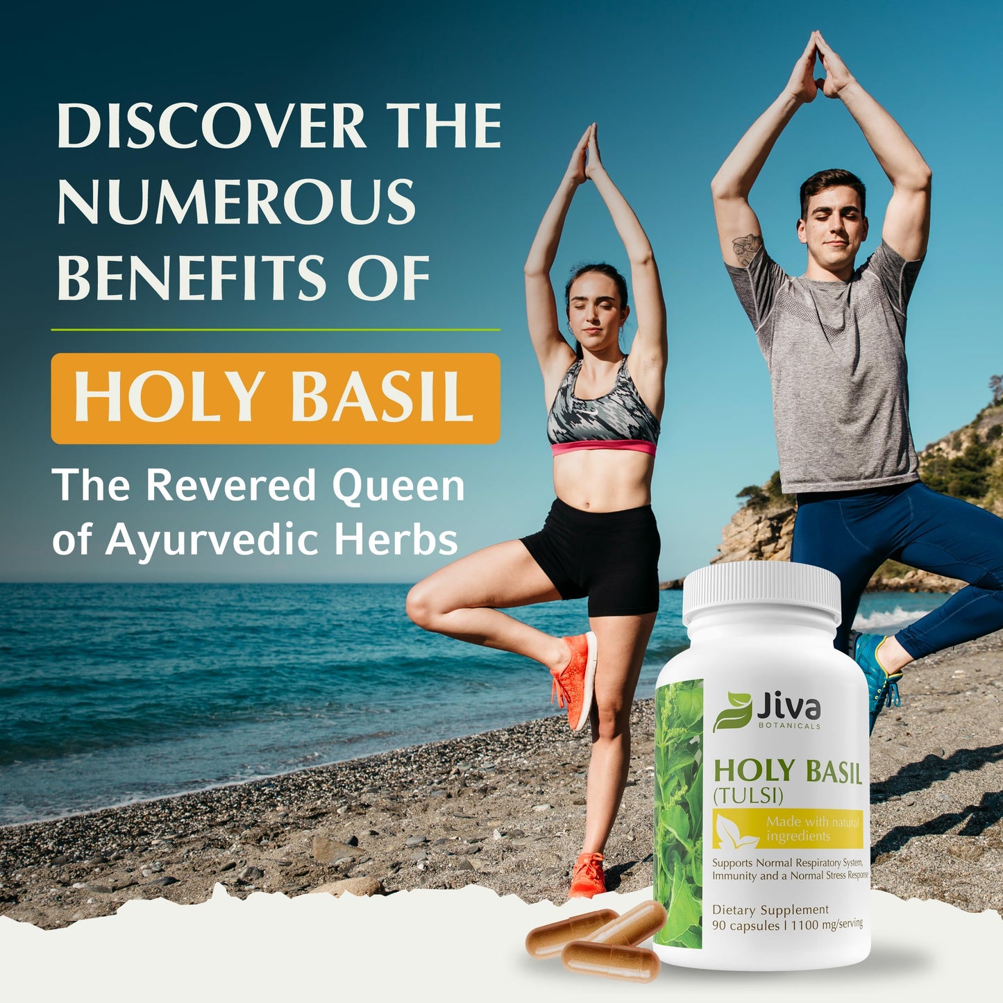 Jiva Botanicals Holy Basil 1100mg Capsules, 90 Count