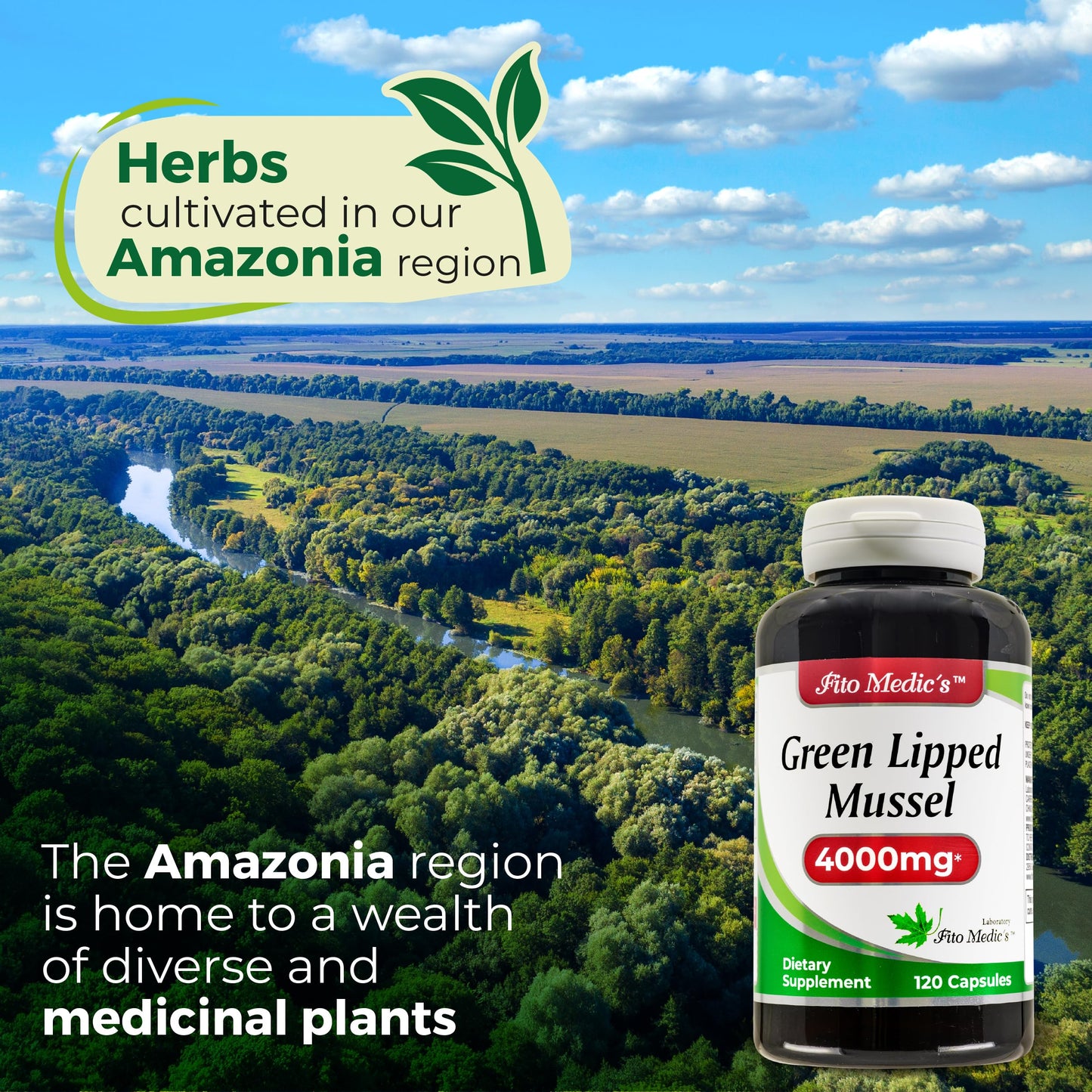 FITO MEDIC'S Green Lipped Mussel Capsules 120