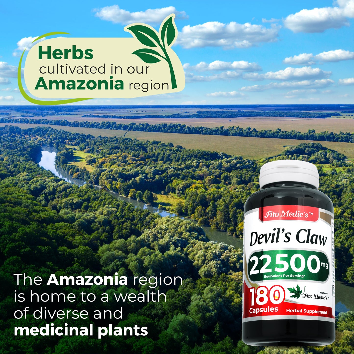 FITO MEDIC'S Devil's Claw Capsule 180 Count