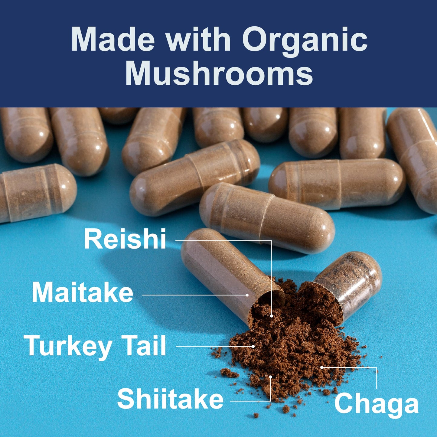 Carlson Mushroom Complex, Organic Blend with Turkey Tail, Reishi, Maitake, Shiitake, Chaga, Non-GMO, 50 Capsules