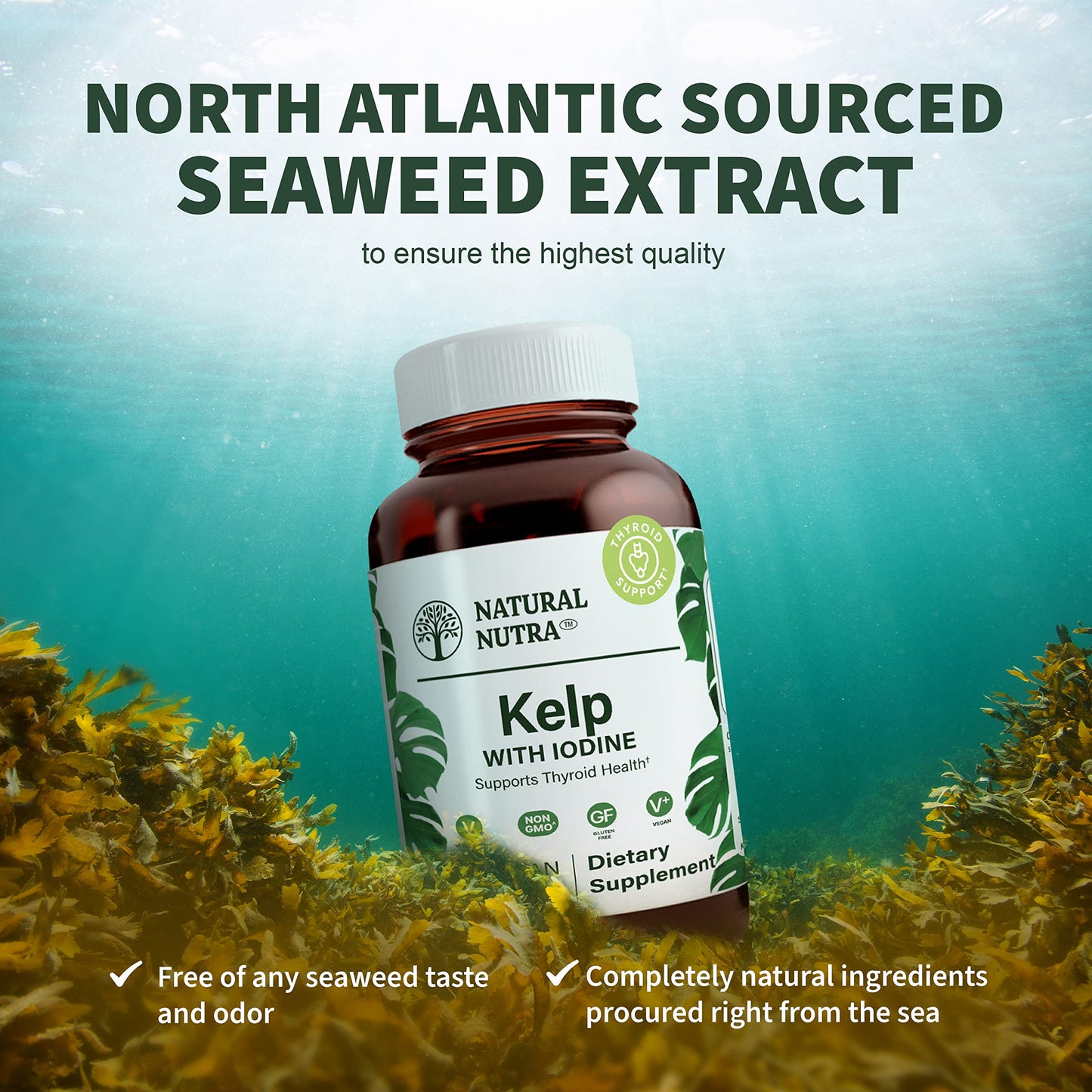Natural Nutra Kelp Iodine with Potassium Iodide Tablet, 100 Tablets