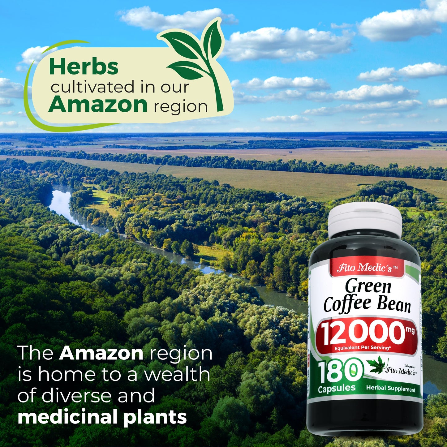 FITO MEDIC'S Green Coffee Bean Extract Capsule 1 Count