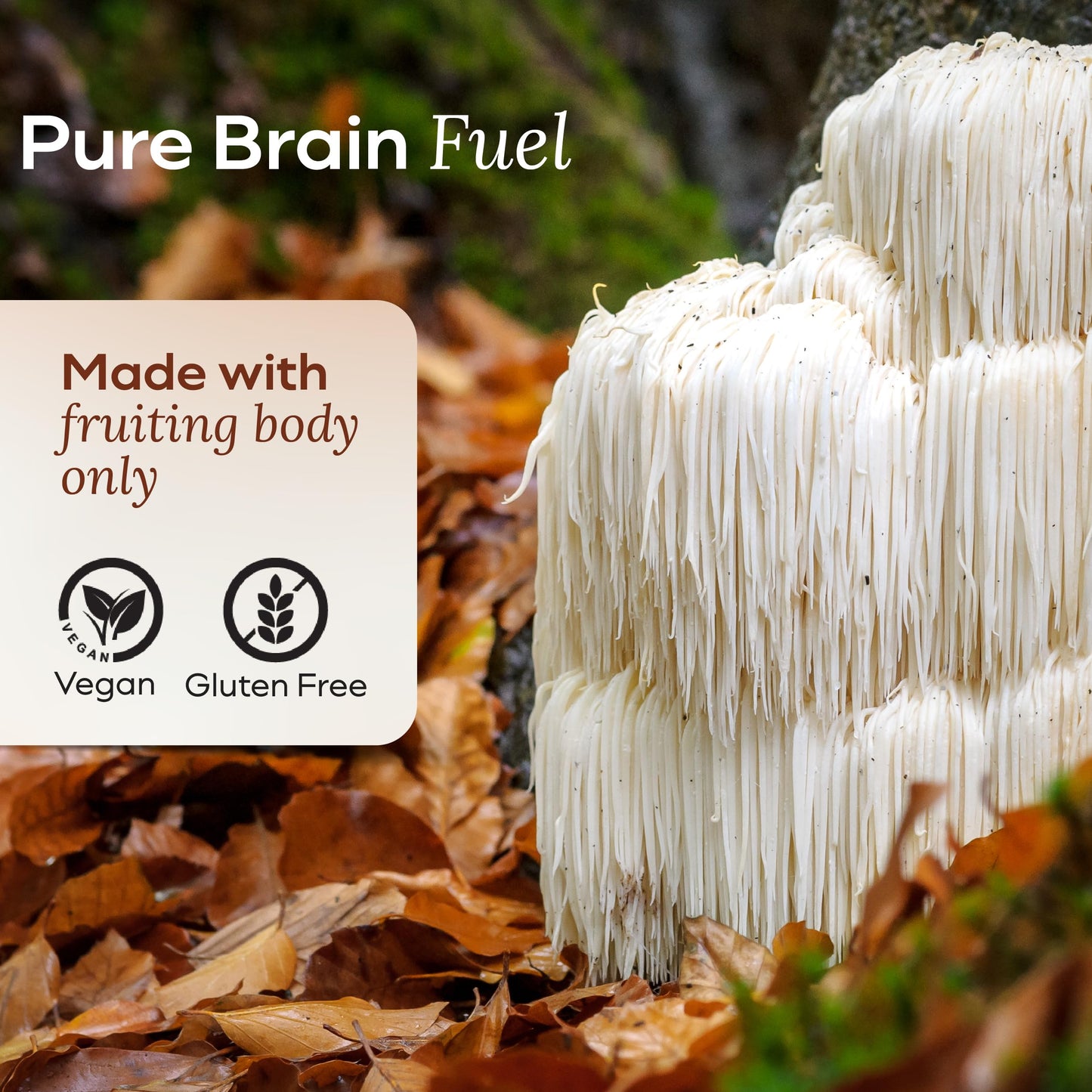 MYCL Lions Mane Mushroom Gummies for Focus and Memory, 60 Count