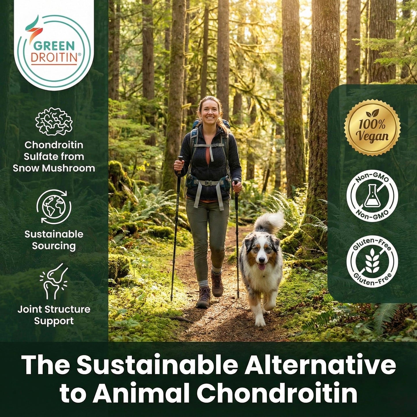 J&N Naturals Vegan Glucosamine Chondroitin MSM Joint Support Supplement 120 Capsules