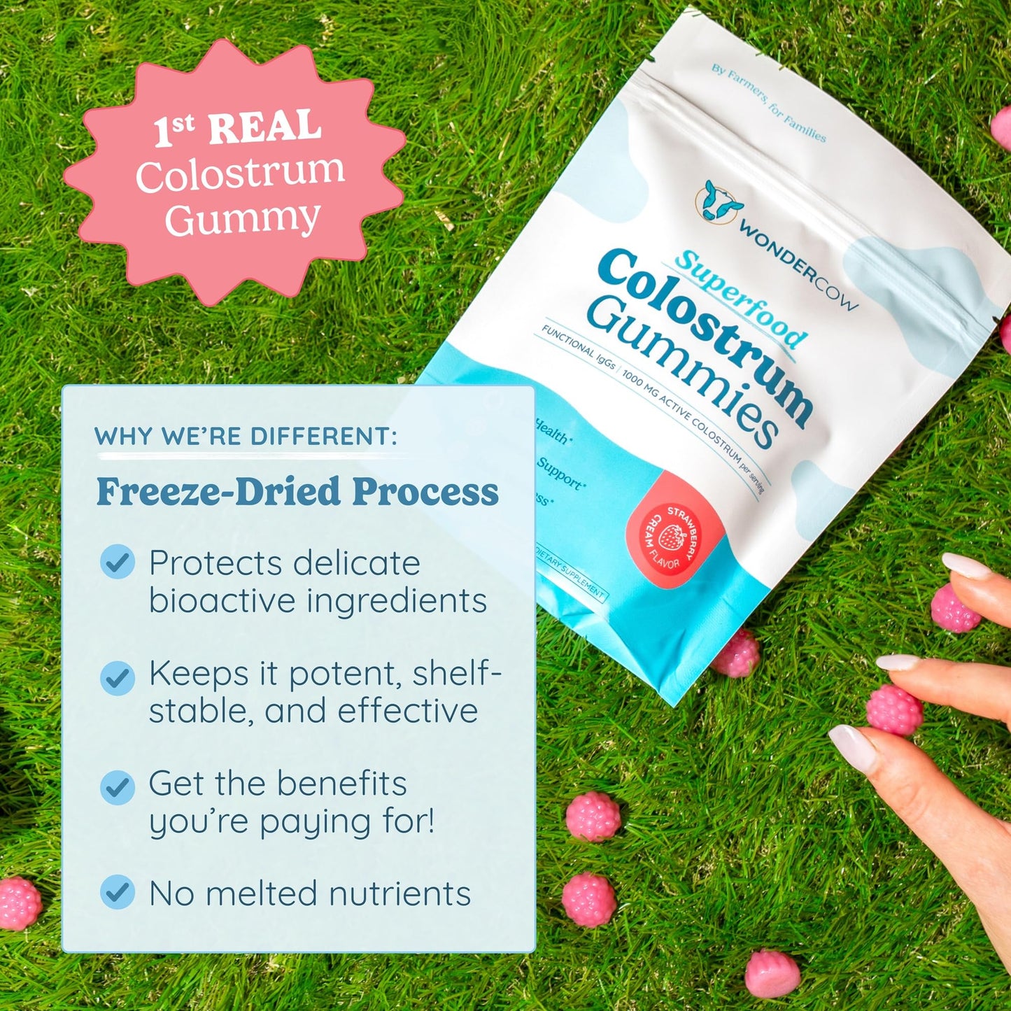 WONDERCOW Colostrum Gummies for Gut Health, Immune Support & Wellness Gummy, 45 Gummies