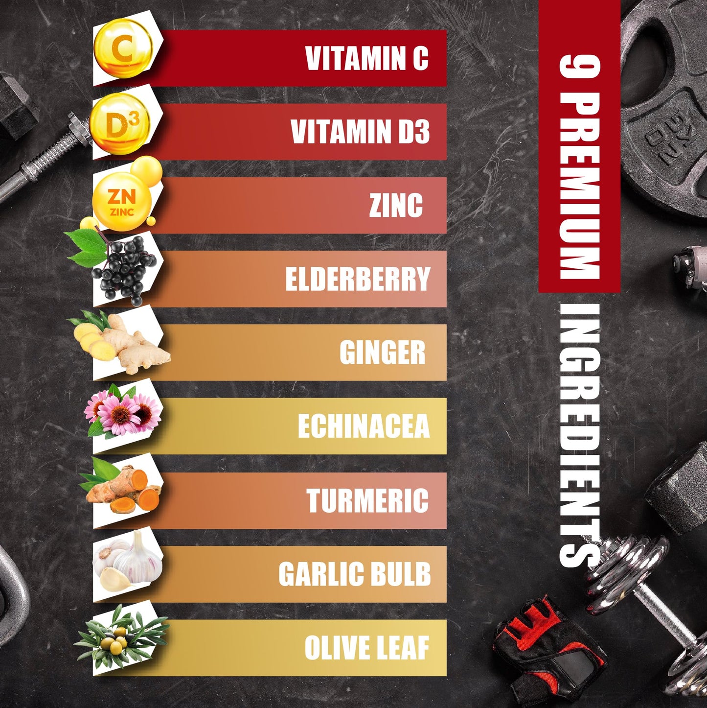 BMVINVOL Elderberry Capsules 90 Capsules