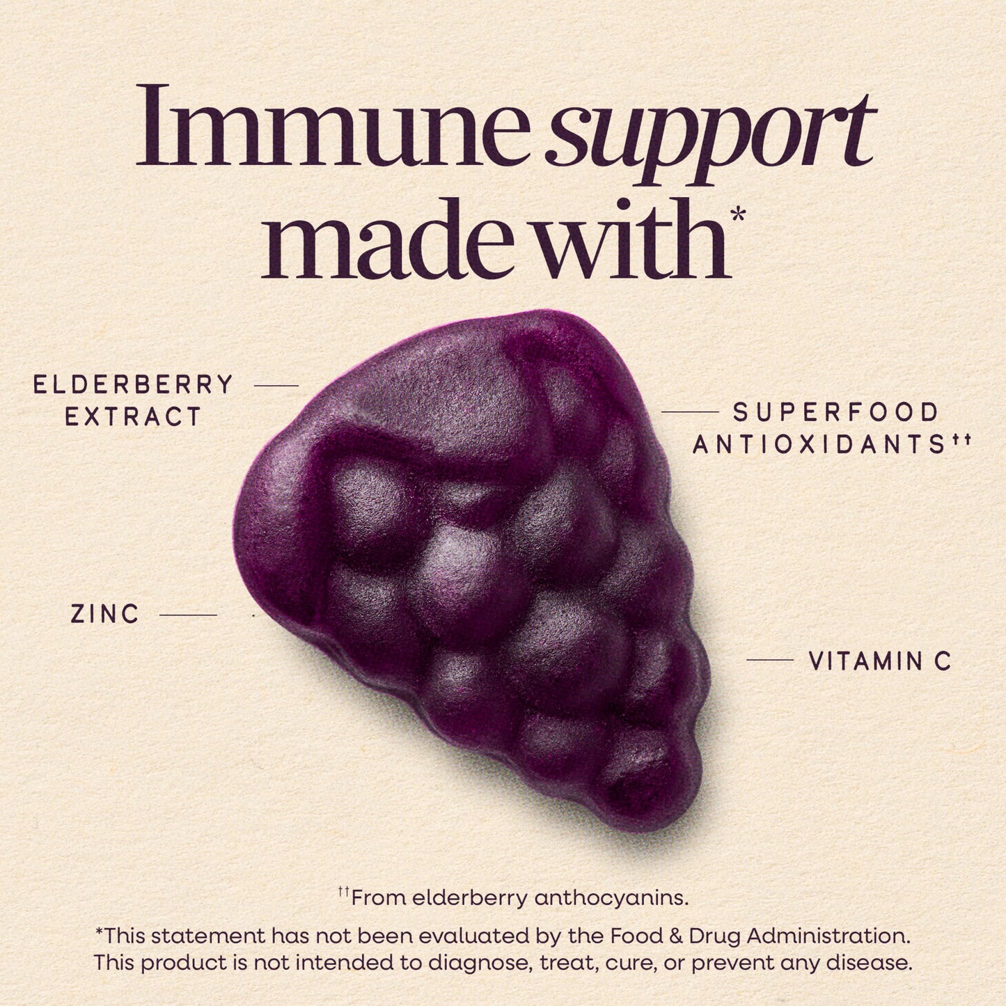 Nature's Way Sambucus Kids Elderberry Immune Gummies with Black Elderberry Extract, Daily Immune Support with Vitamin C & Zinc for Children 2+, 60 Gummies