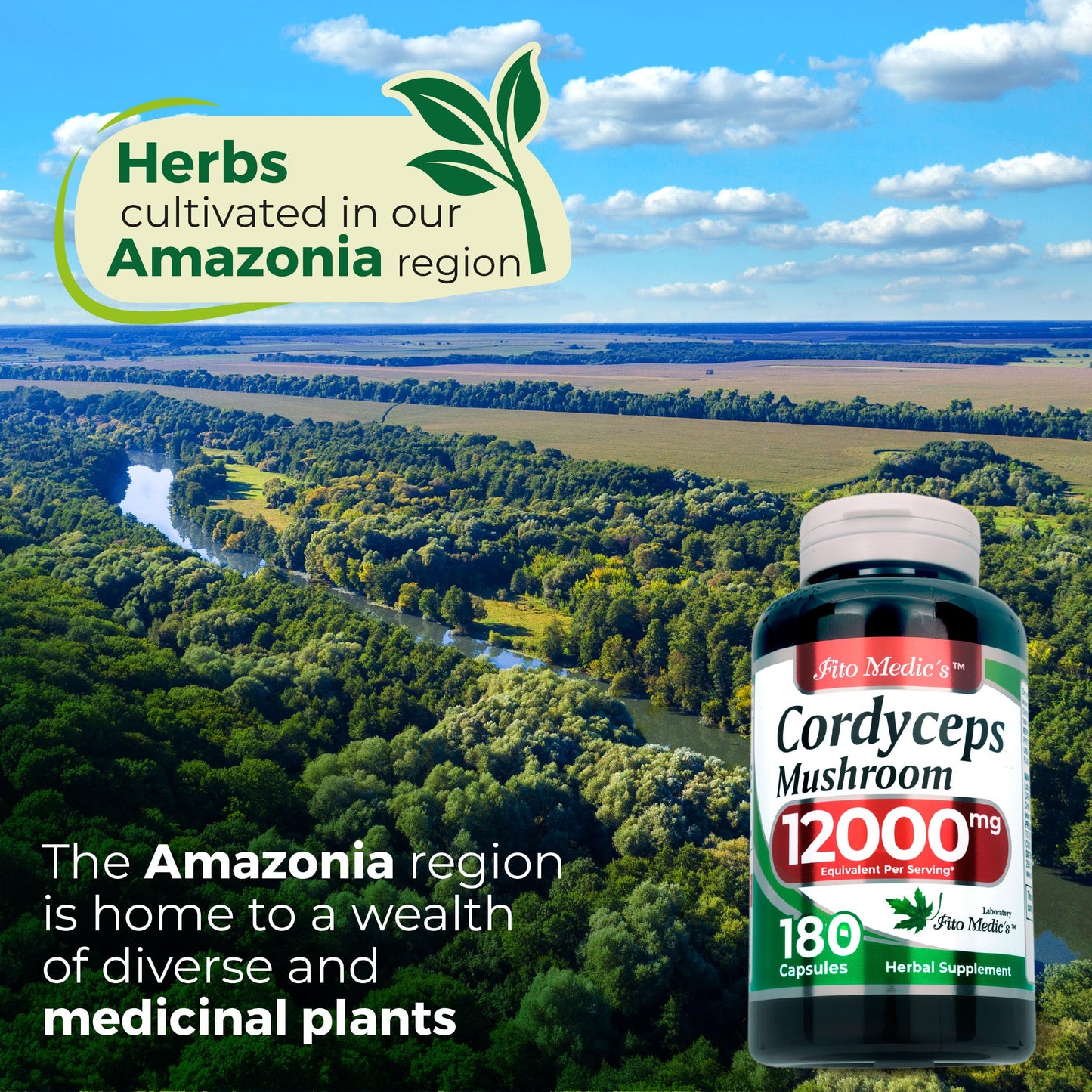 FITO MEDIC'S Cordyceps Mushroom Capsule, 180 Count