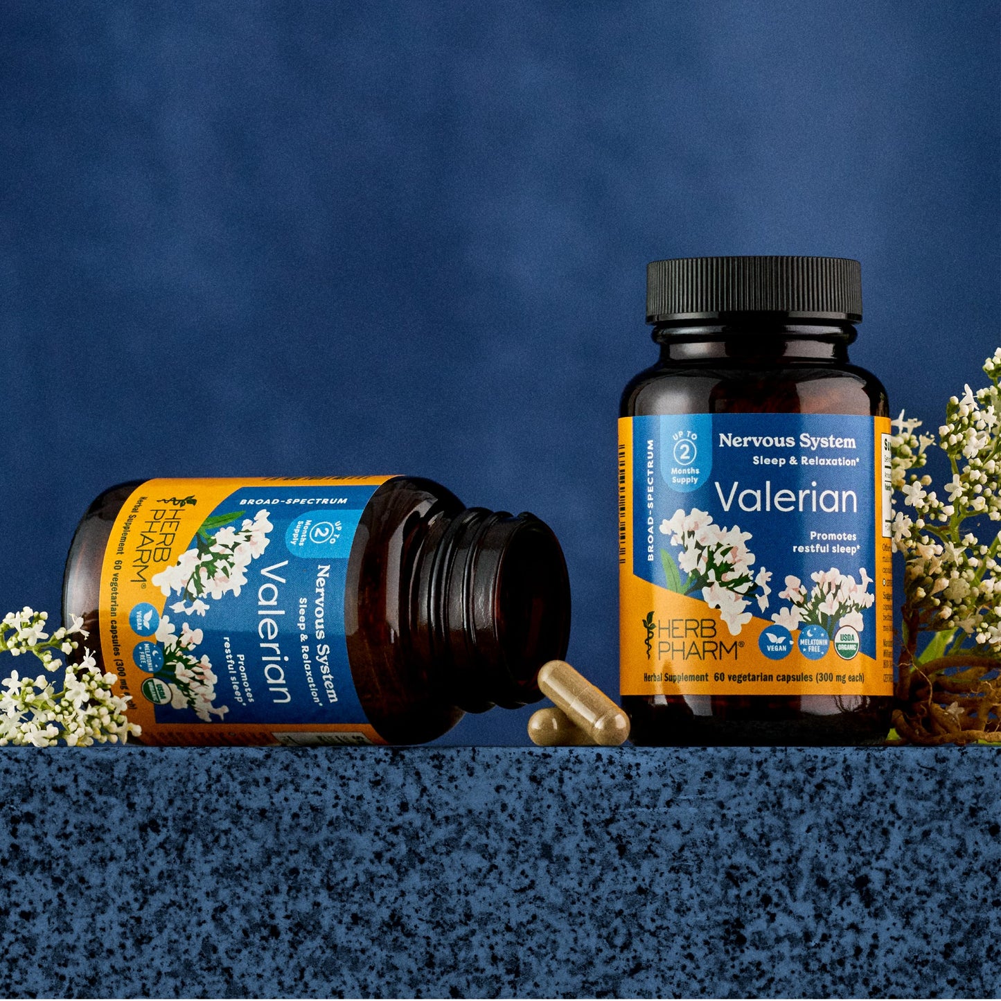 Herb Pharm Valerian Root Sleep Support Capsules 60 Capsules