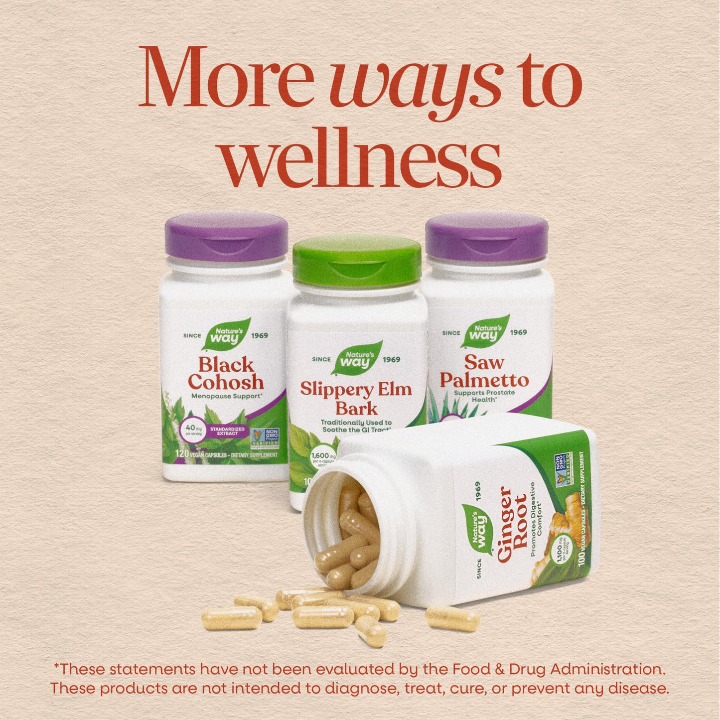 Nature's Way Moringa Leaf, Moringa oleifera, 800 mg per Serving, 120 Capsules