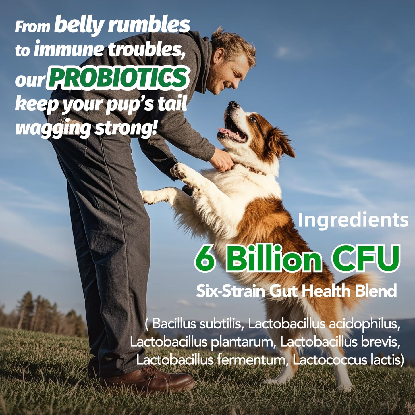 MEGNETA Probiotic Supplement for All Dogs, Digestive & Immune Health, Chews 180