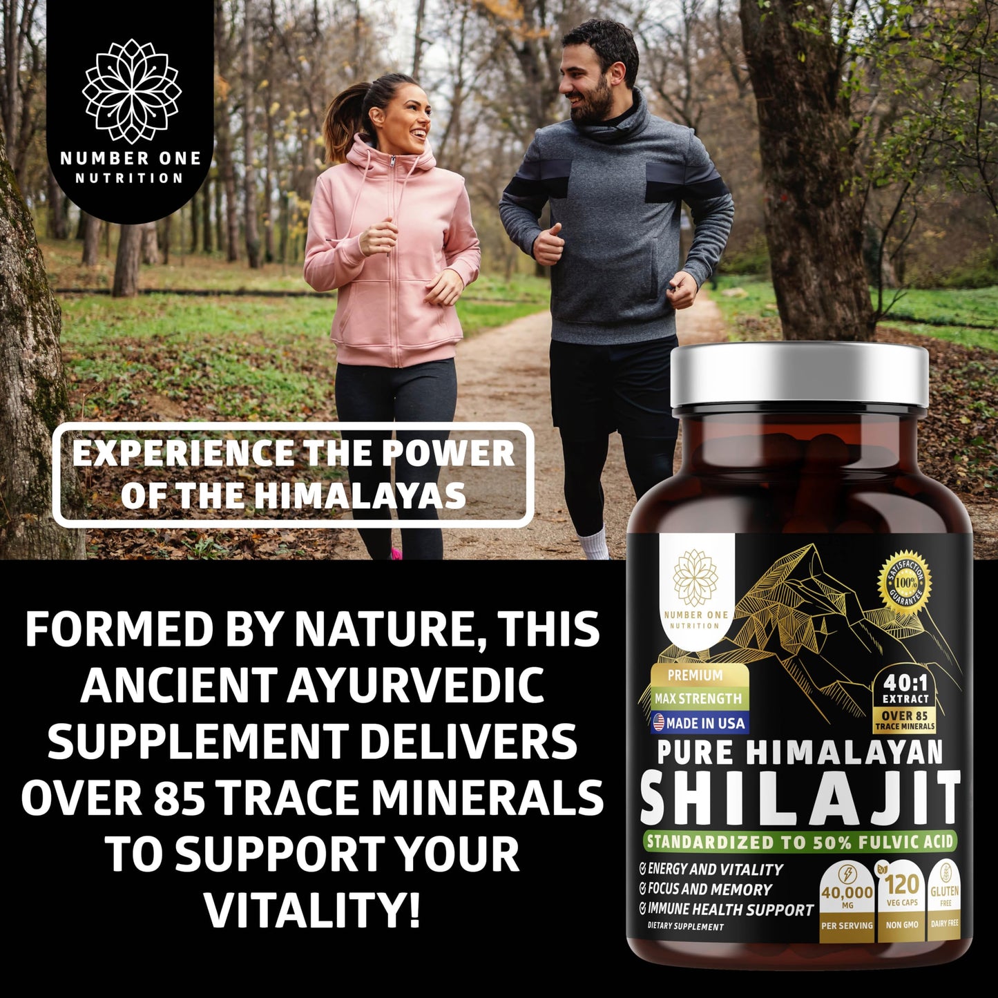 Number One Nutrition Pure Himalayan Shilajit Supplement Capsule 120 Count