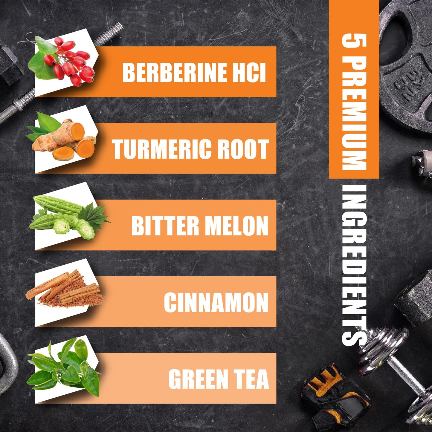 BMVINVOL Berberine HCl Supplement, Ceylon Cinnamon and Turmeric, Green Tea and Bitter Melon, 120 Capsules