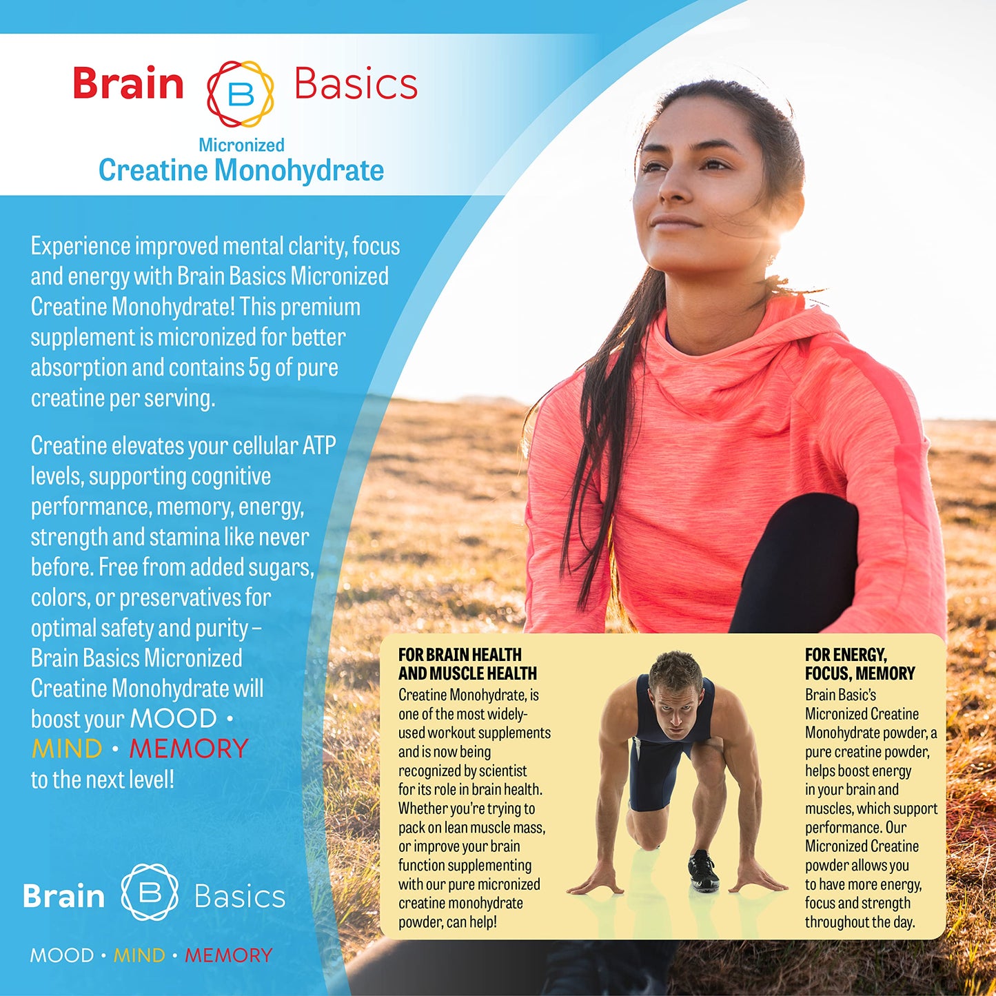 Brain Bean Creatine Monohydrate Powder 17.6 oz