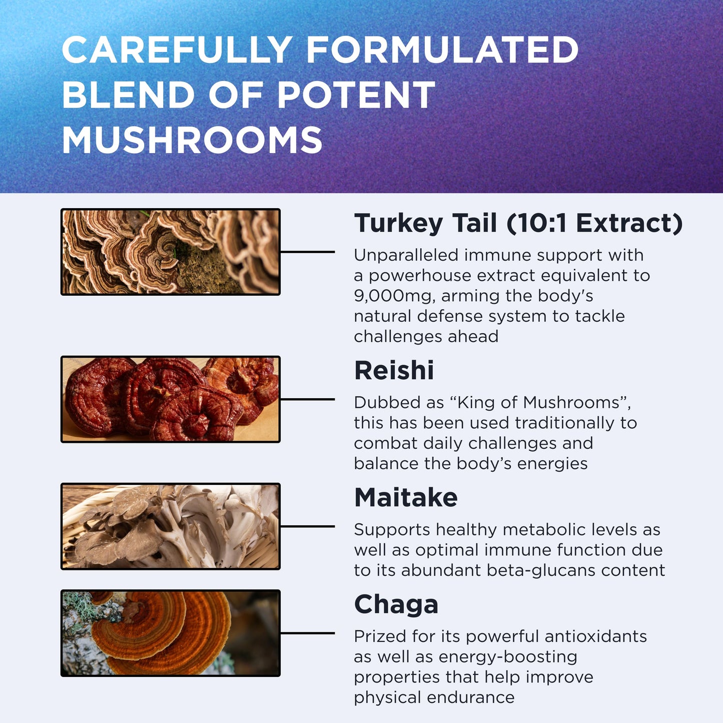 DR. EMIL NUTRITION Mushroom Supplement Elite Turkey Tail Mushroom Plus Capsule 2-Pack