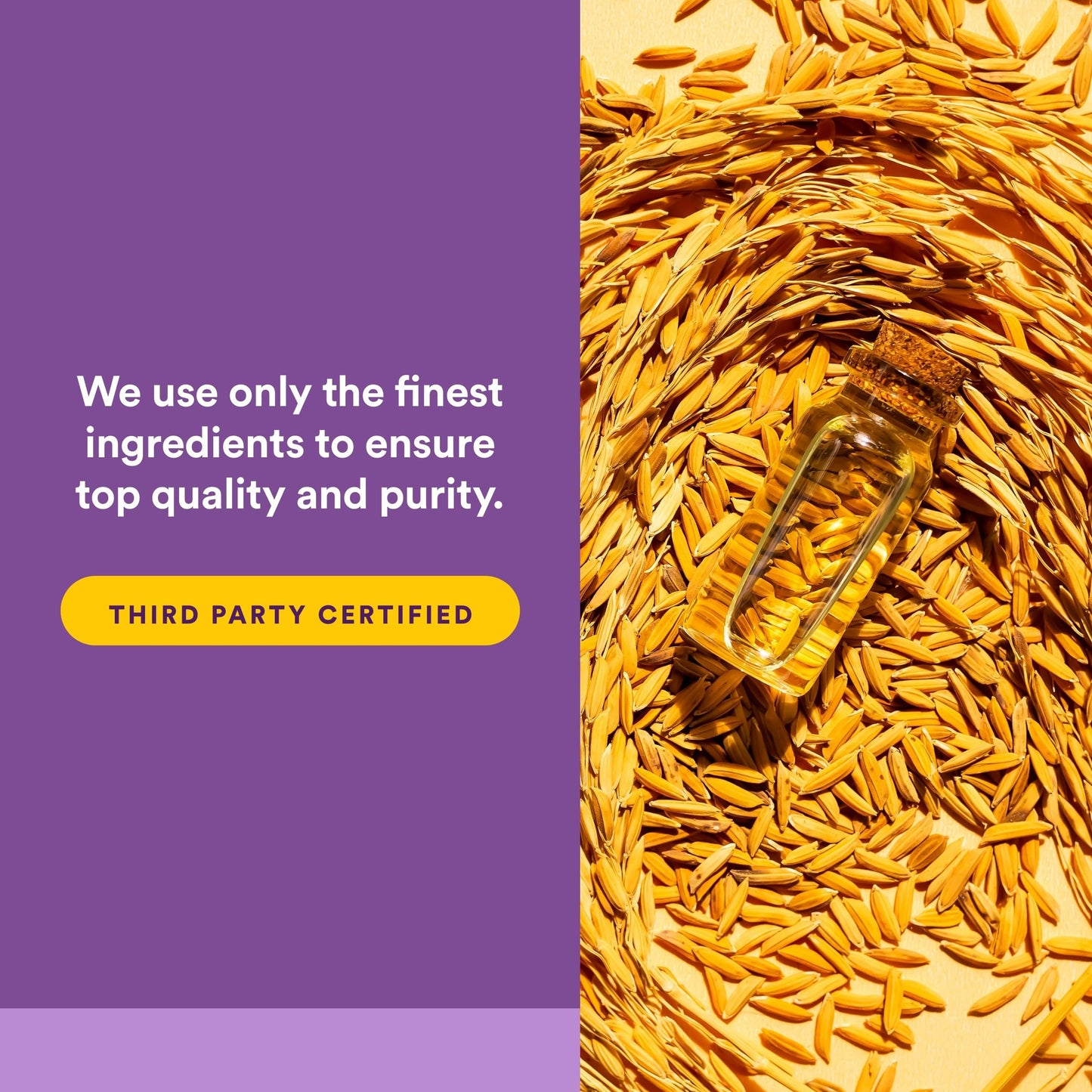 Natural Factors Coenzyme Q10 Softgels 240