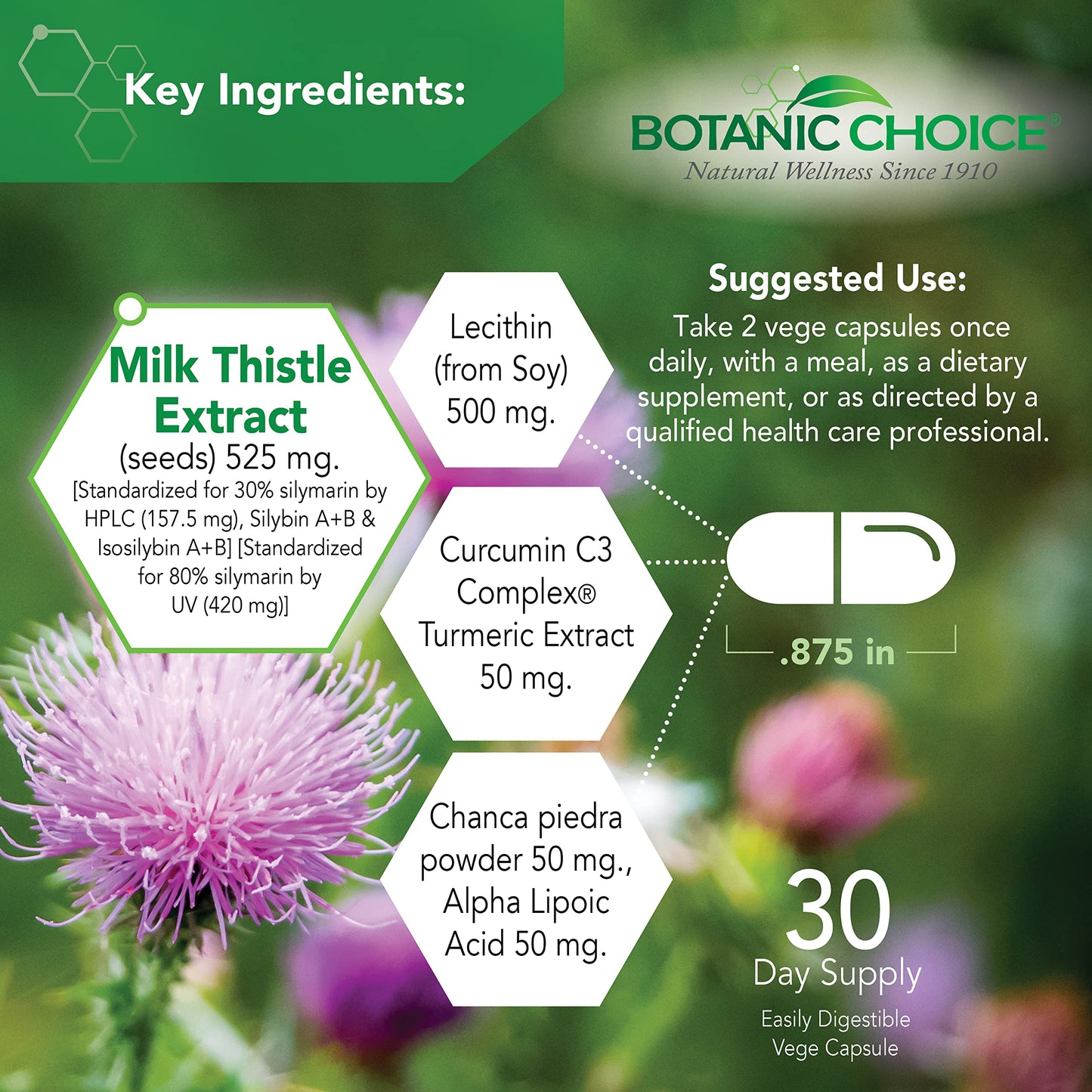 Botanic Choice Liver 10 Complex Capsule 60 Count