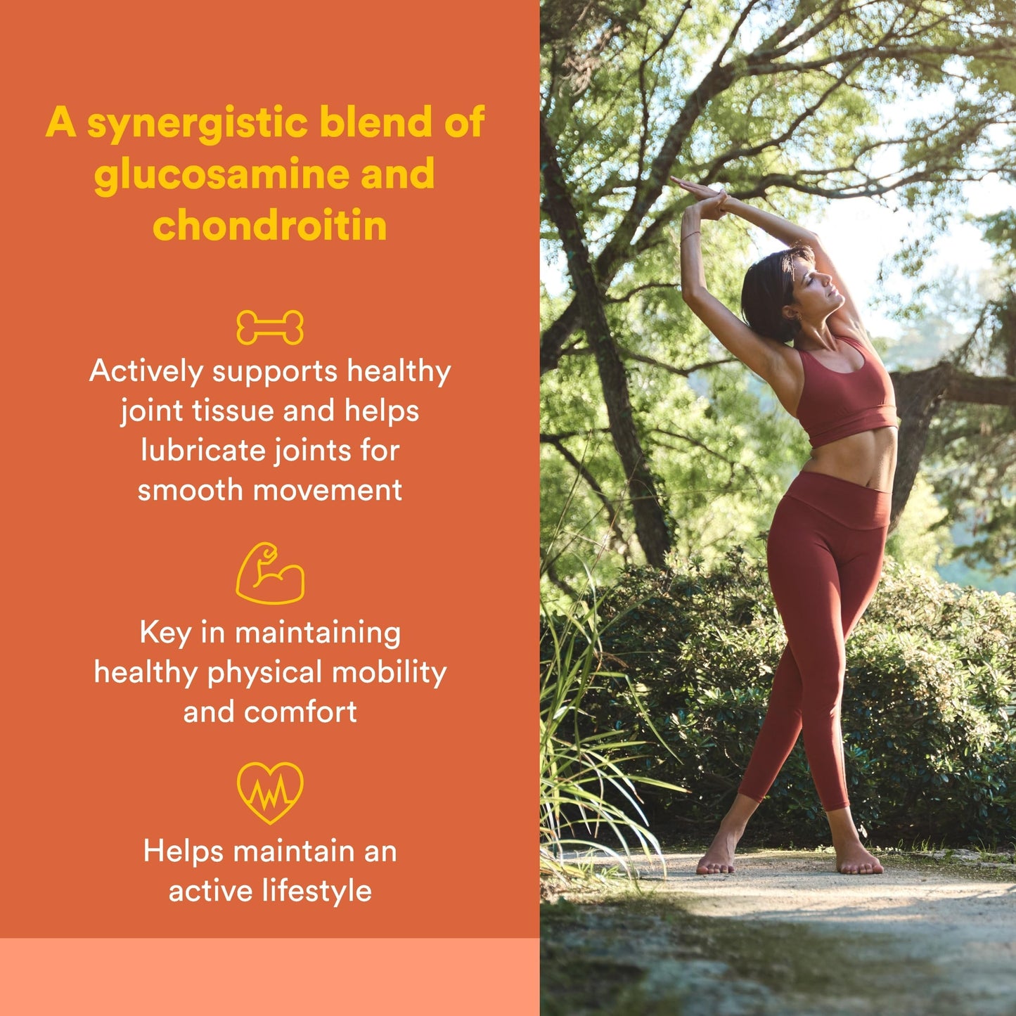 Natural Factors Glucosamine & Chondroitin Capsules 60