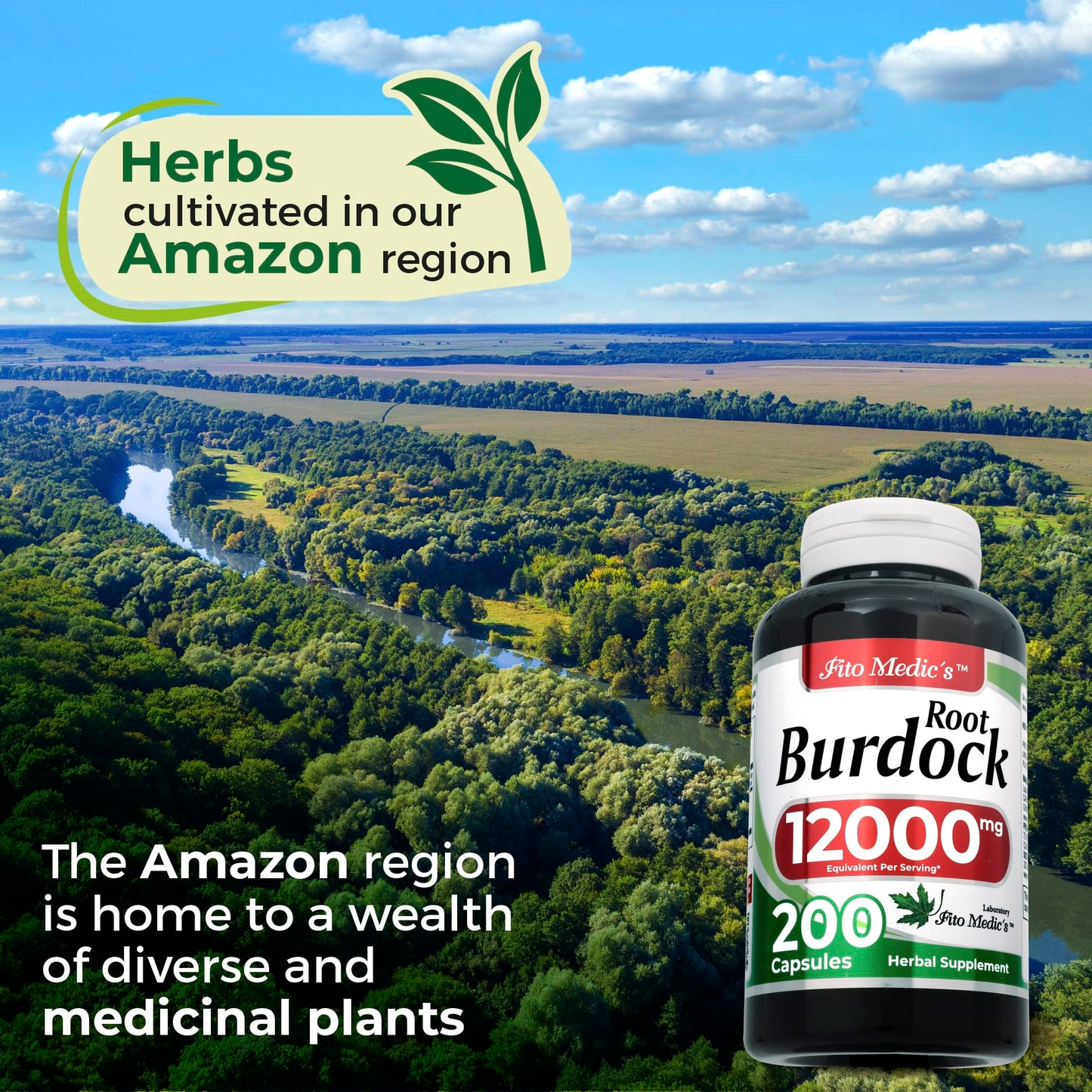 FITO MEDIC'S Burdock Root Organic Capsules 200