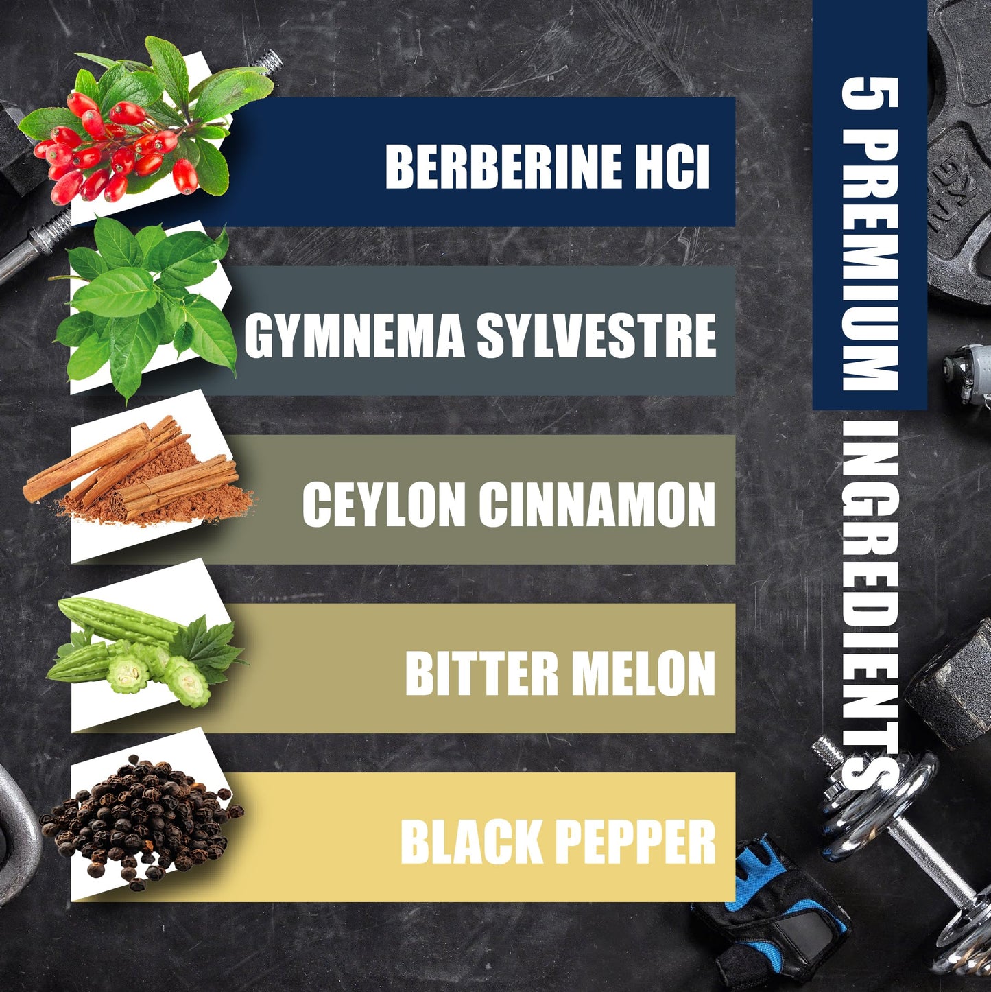 BMVINVOL 5-in-1 Berberine Supplement with Ceylon Cinnamon, Gymnema Sylvestre, Bitter Melon & Black Pepper Capsules, 120 Count