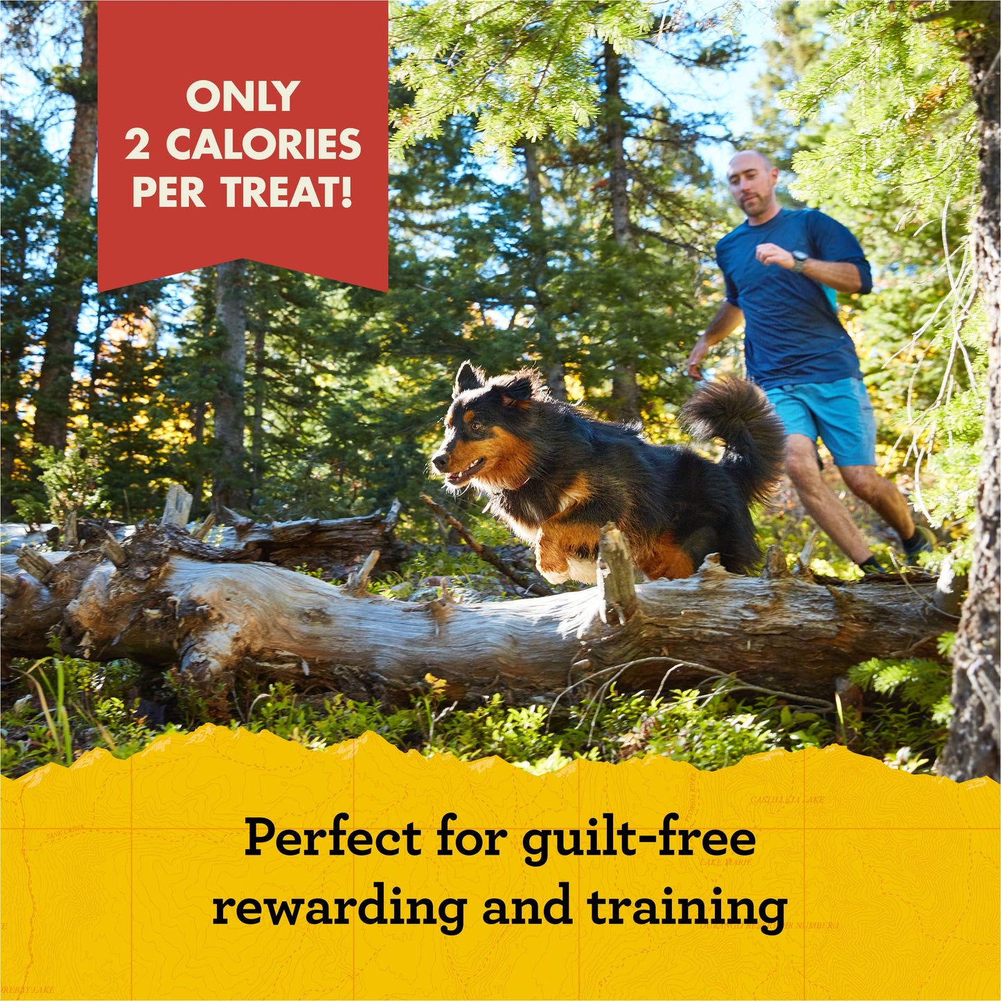 Zuke`s Mini Naturals Dog Treat Peanut Butter 1lb