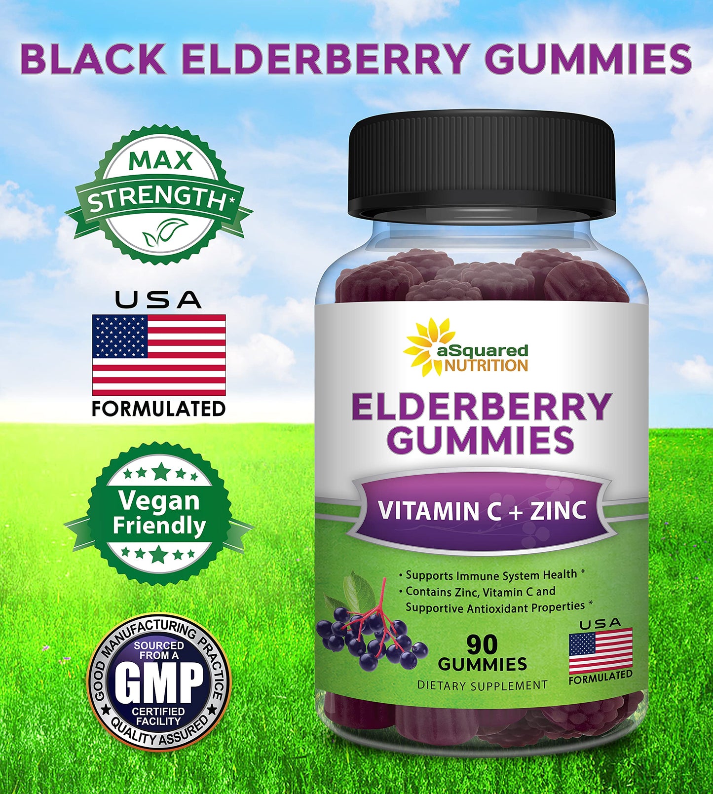 aSquared Nutrition Sambucus Elderberry Gummies with Zinc and Vitamin C Gummy 90 Count