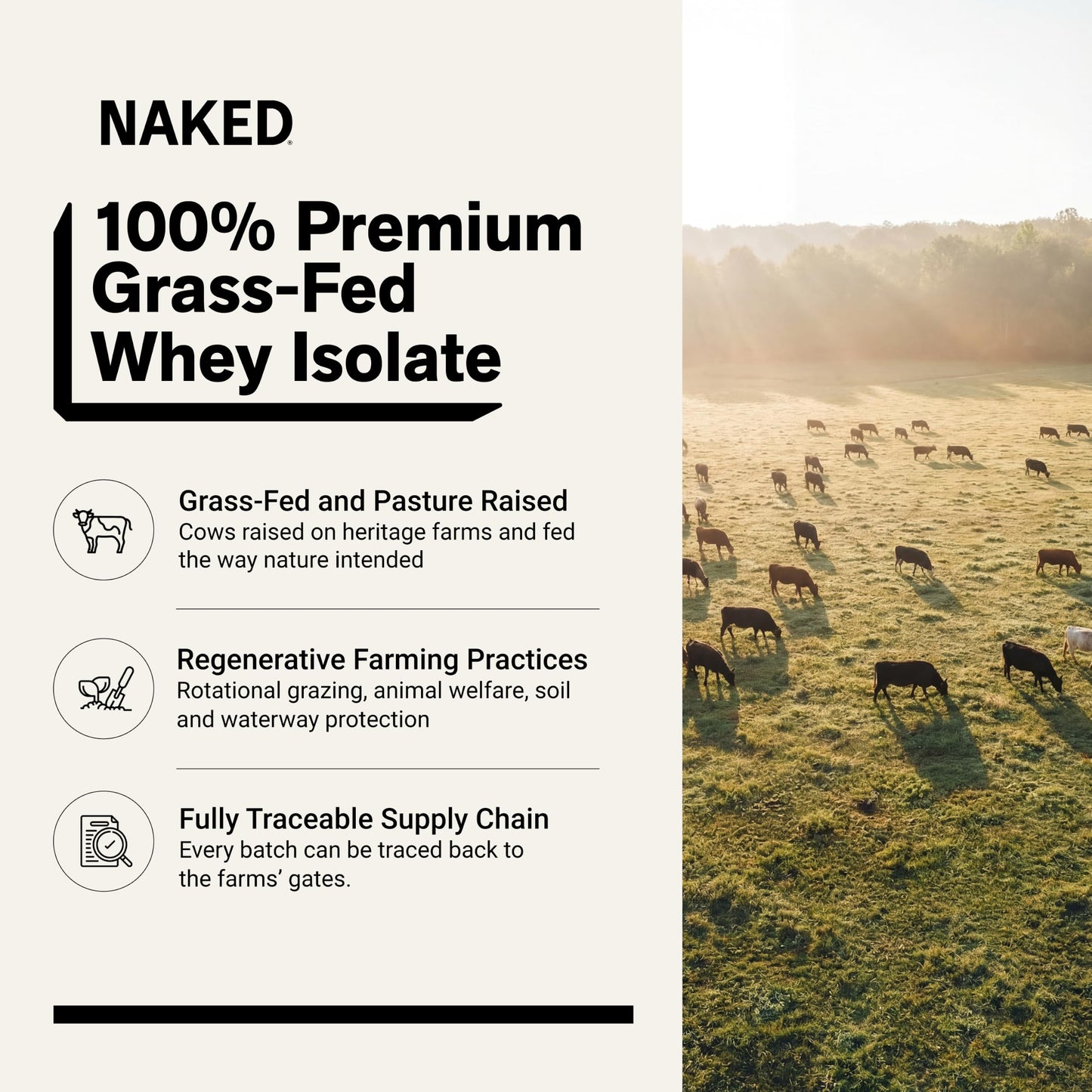 NAKED Vanilla Whey Isolate Protein Powder 32 oz