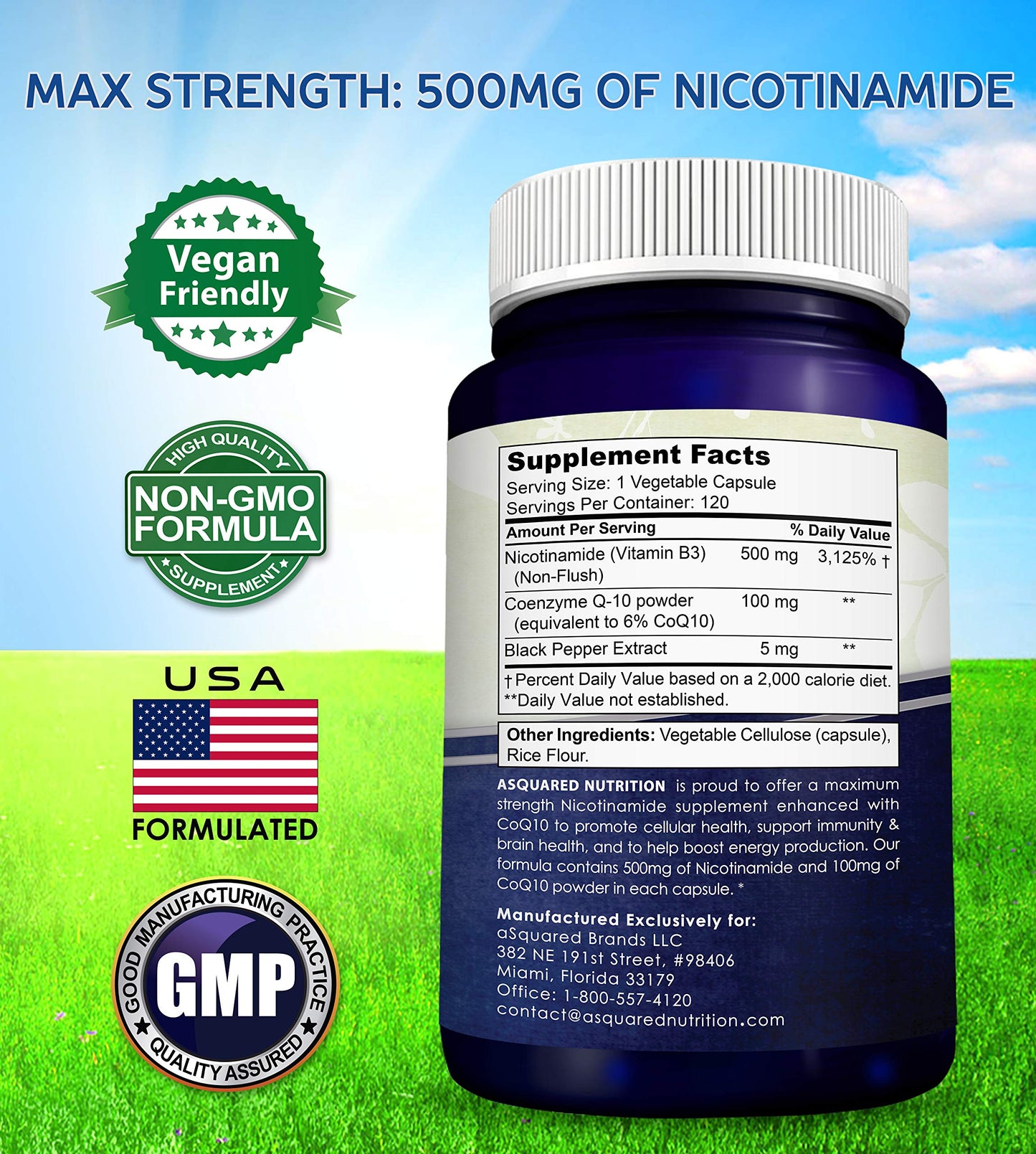 aSquared Nutrition Nicotinamide with CoQ10 120 Capsules