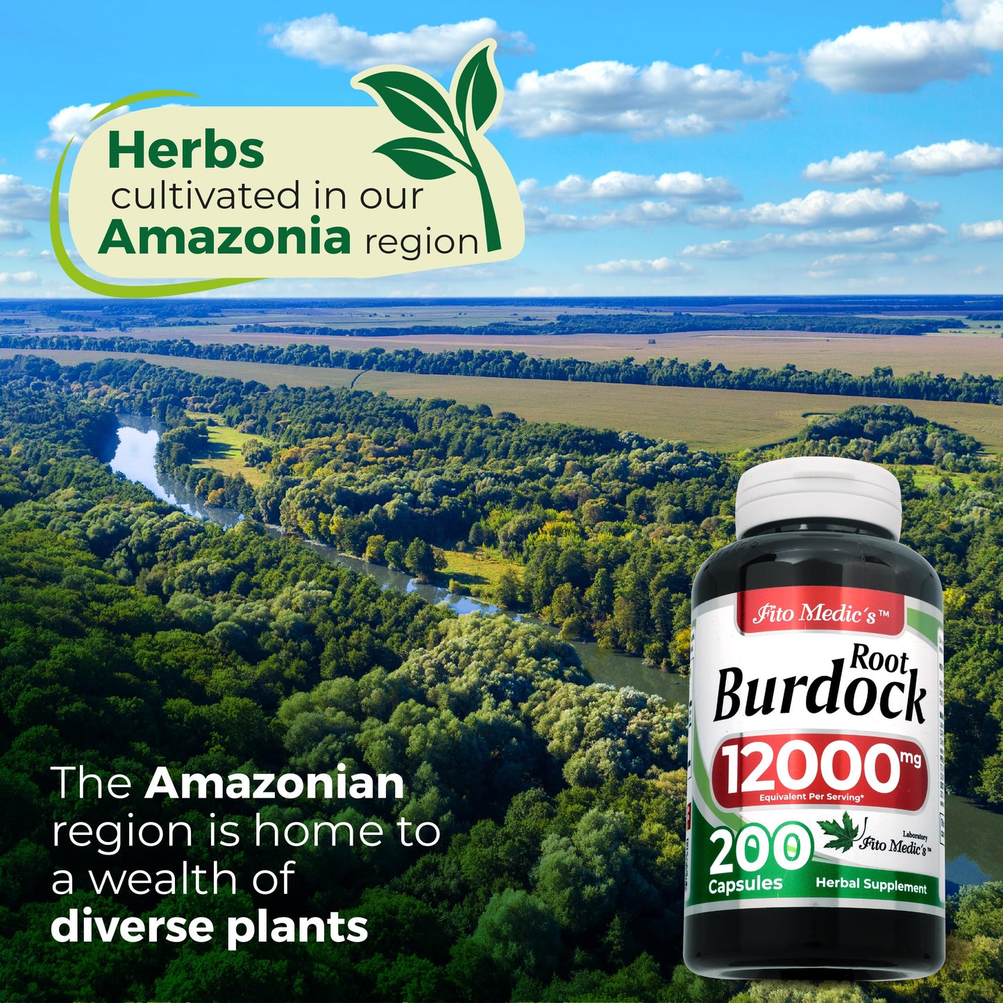 FITO MEDIC'S Burdock Root Organic Capsules, 200 Count