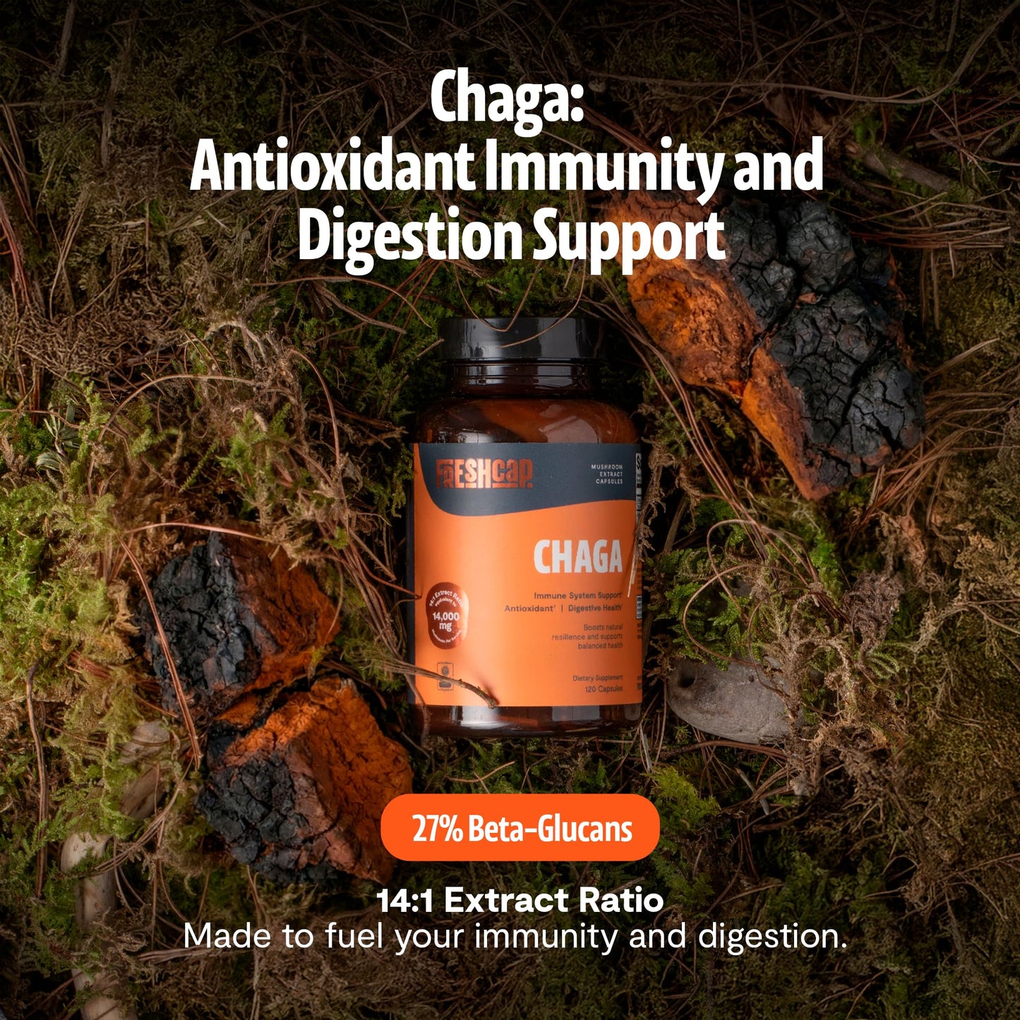 FreshCap Mushrooms Premium Organic Chaga Supplement Capsules 120