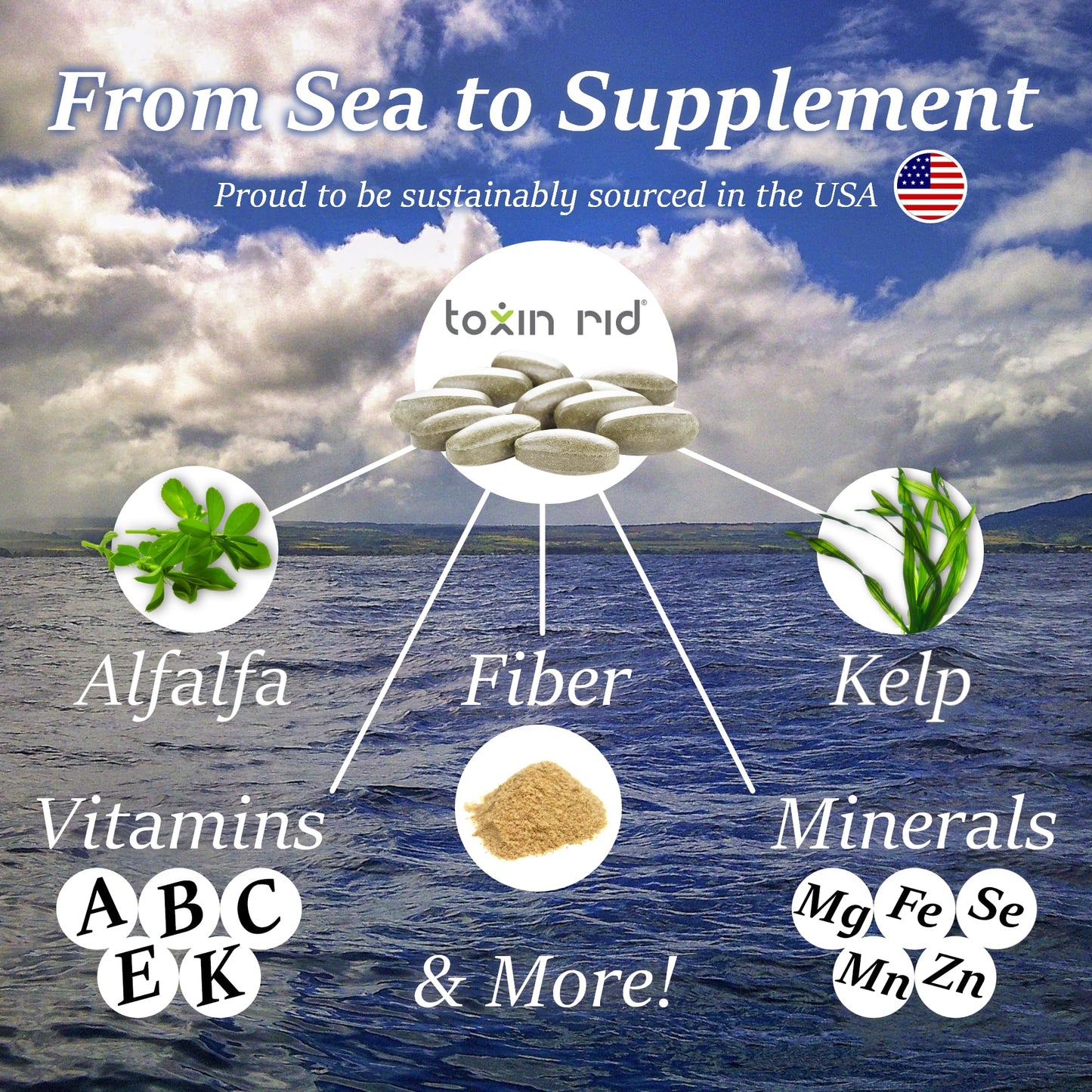 Toxin Rid 5 Day Detox Kit Tablets 1
